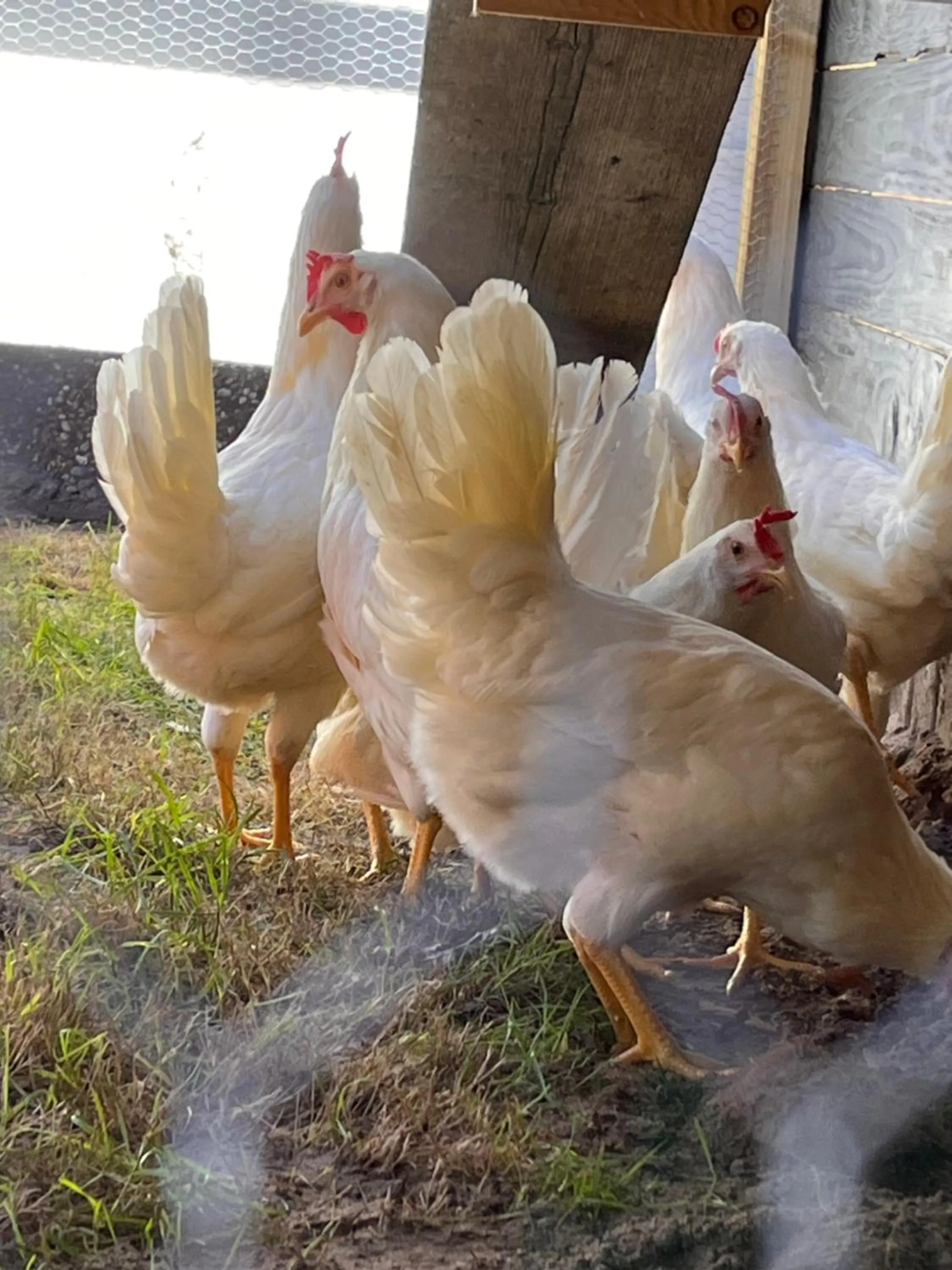 Vakantieverblijf Perron 3