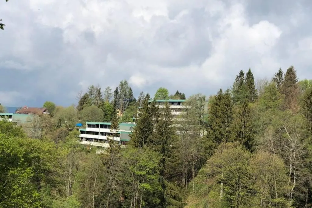 Apartment Harzblick -NEU MODERNISIERT-