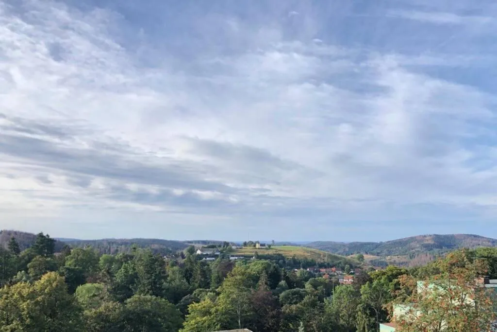 Apartment Harzblick -NEU MODERNISIERT-