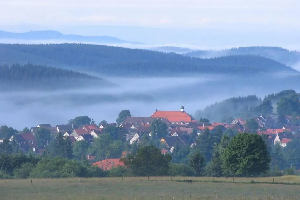 Apartment Harzblick -NEU MODERNISIERT-