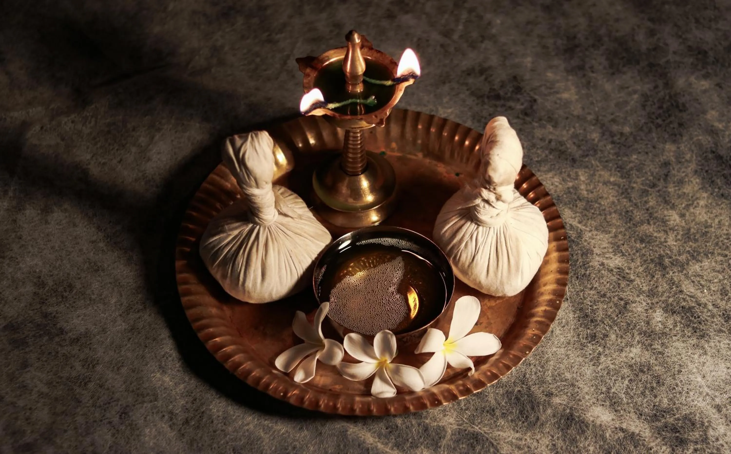 Spa and wellness centre/facilities in Aanandakosha Ayurveda Retreat