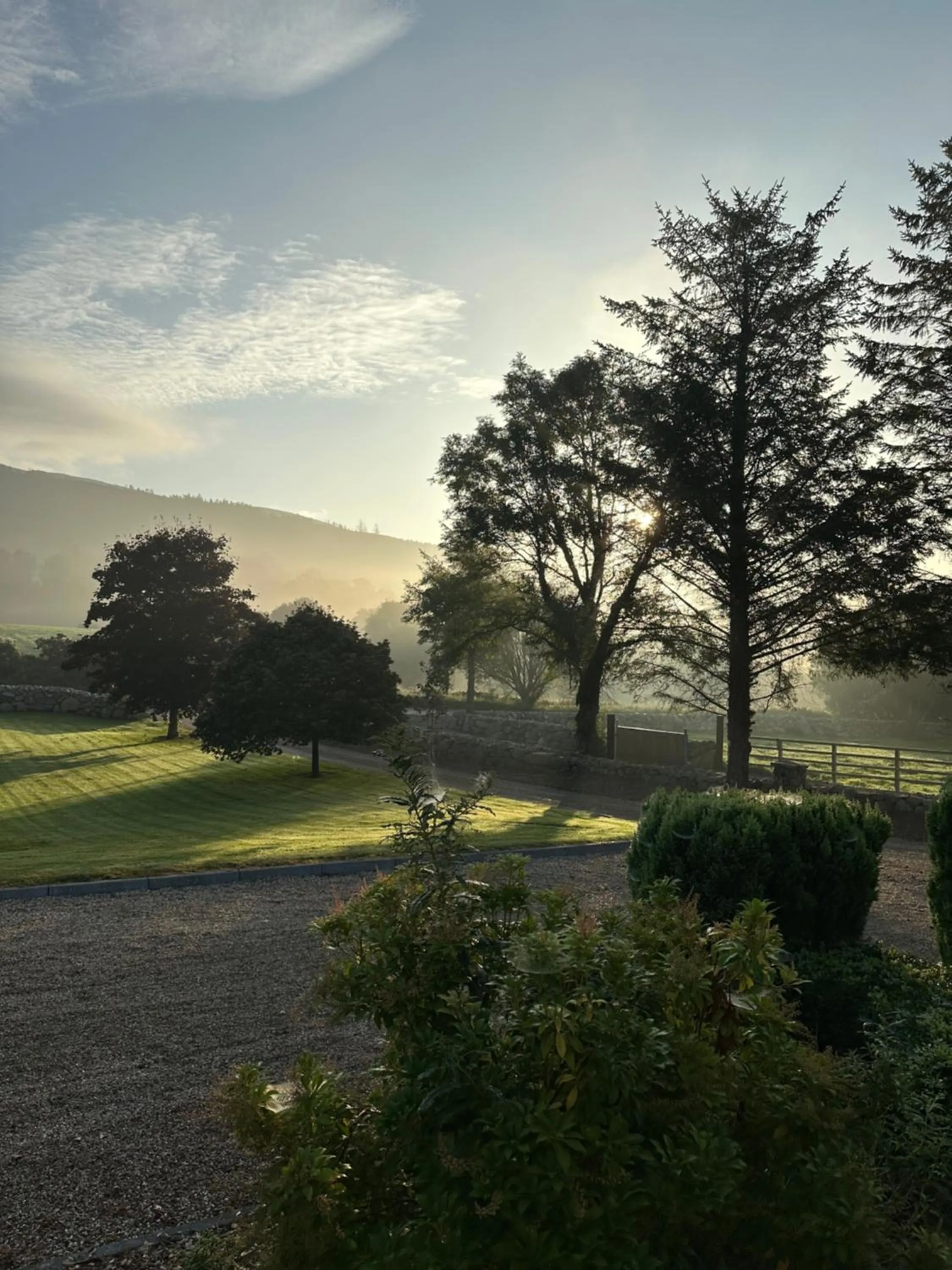 Garden in Greenvale Cabins