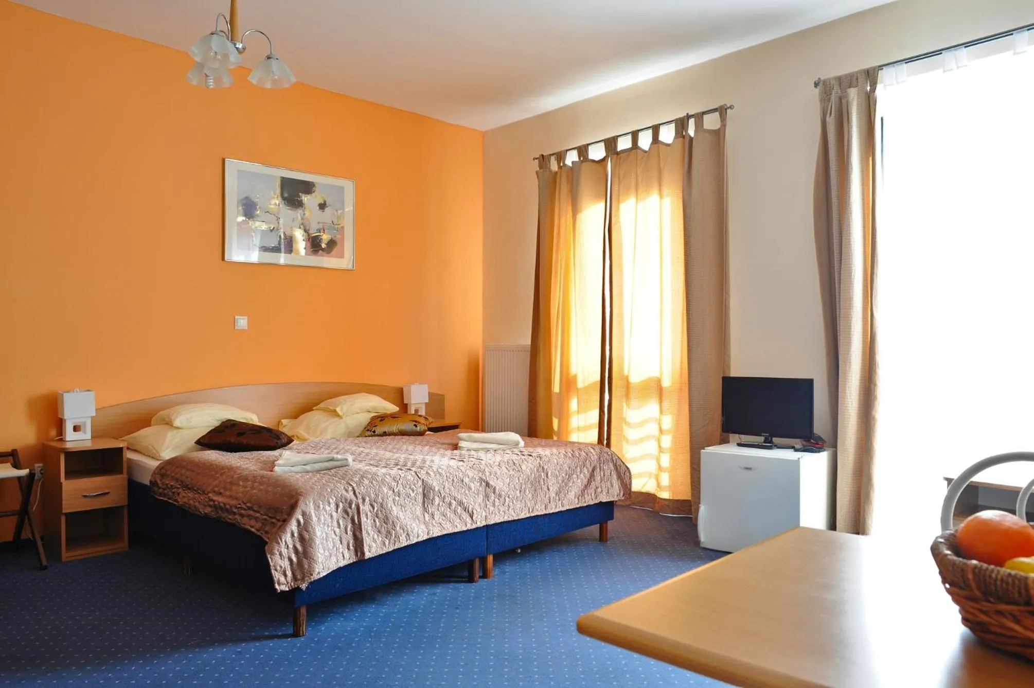 Photo of the whole room in Hotel Papillon