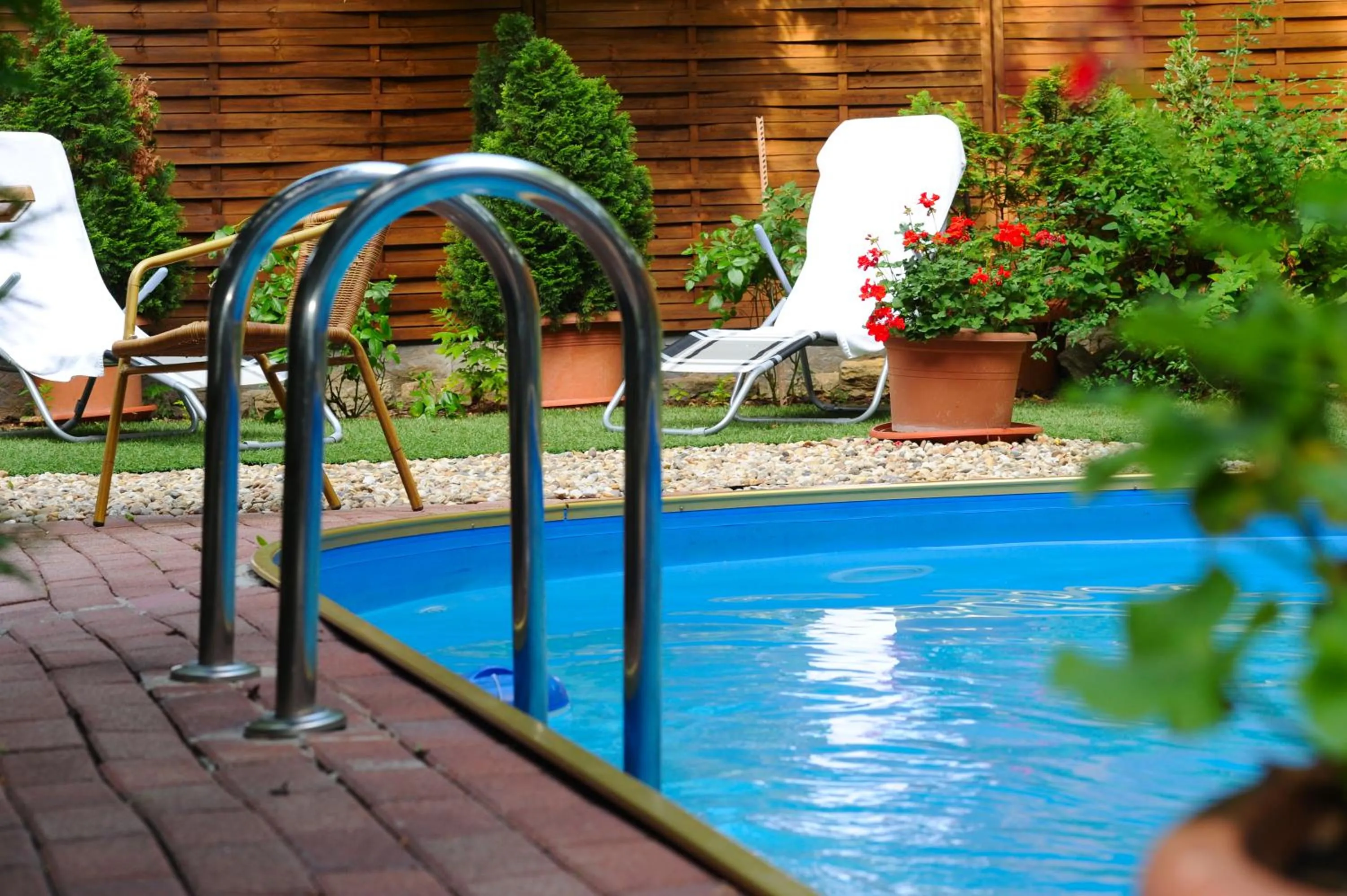 Swimming Pool in Hotel Papillon