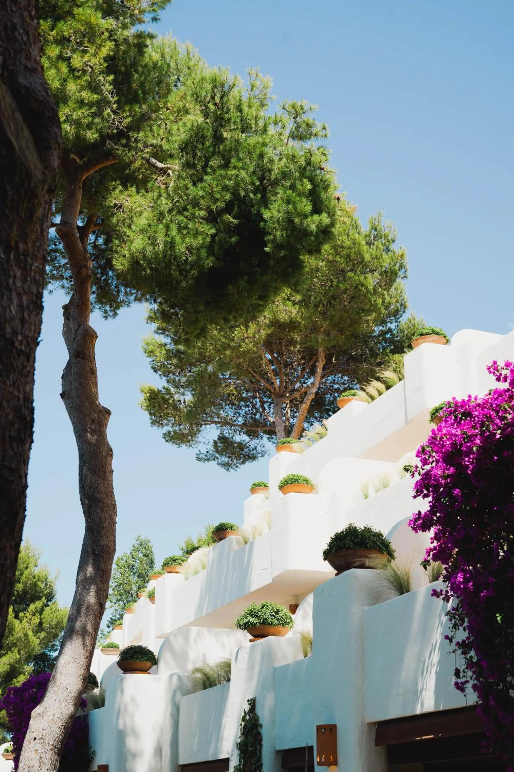Balcony/Terrace in Hotel Ritual de Terra & SPA
