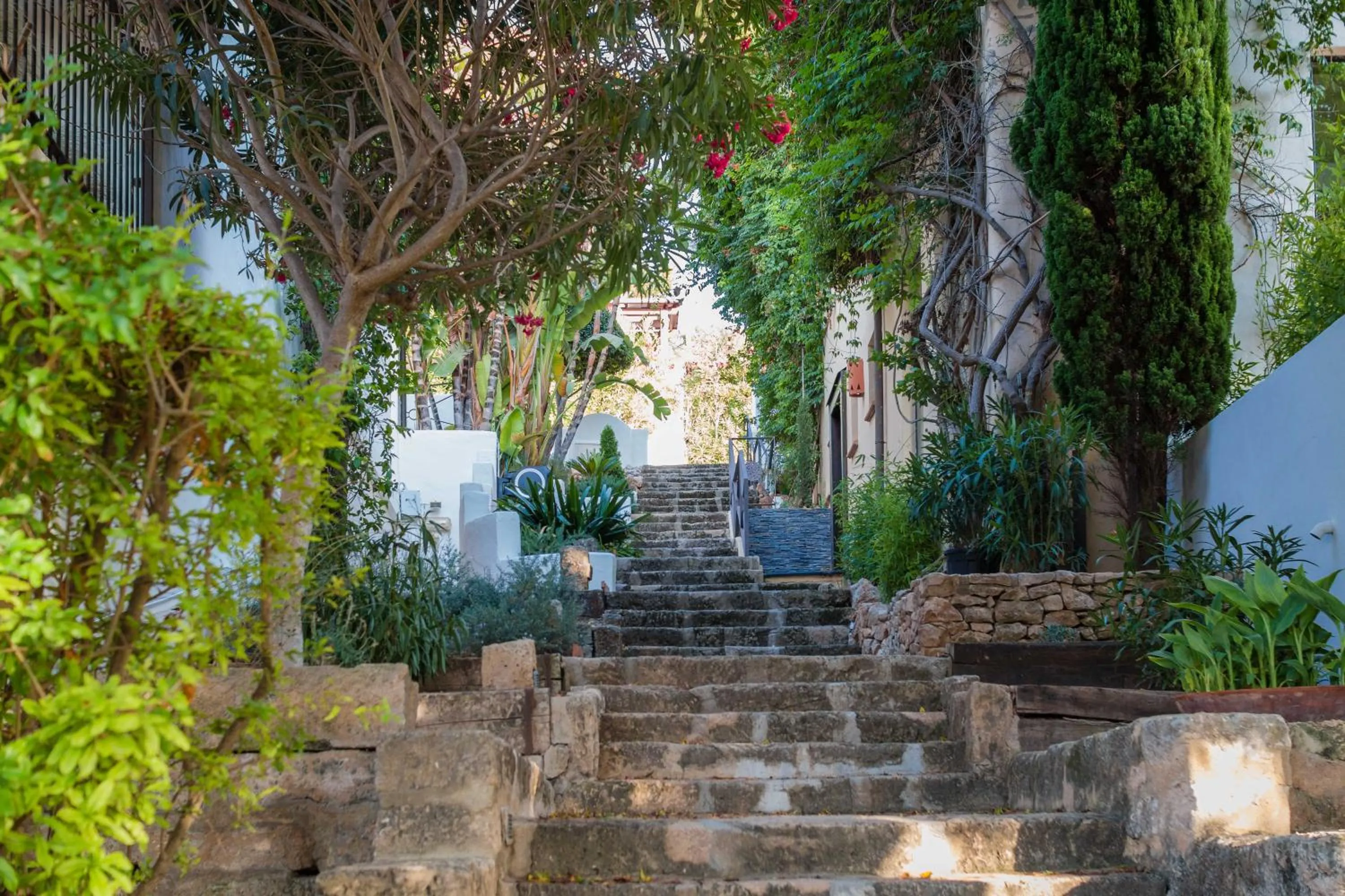 Garden in Hotel Ritual de Terra & SPA