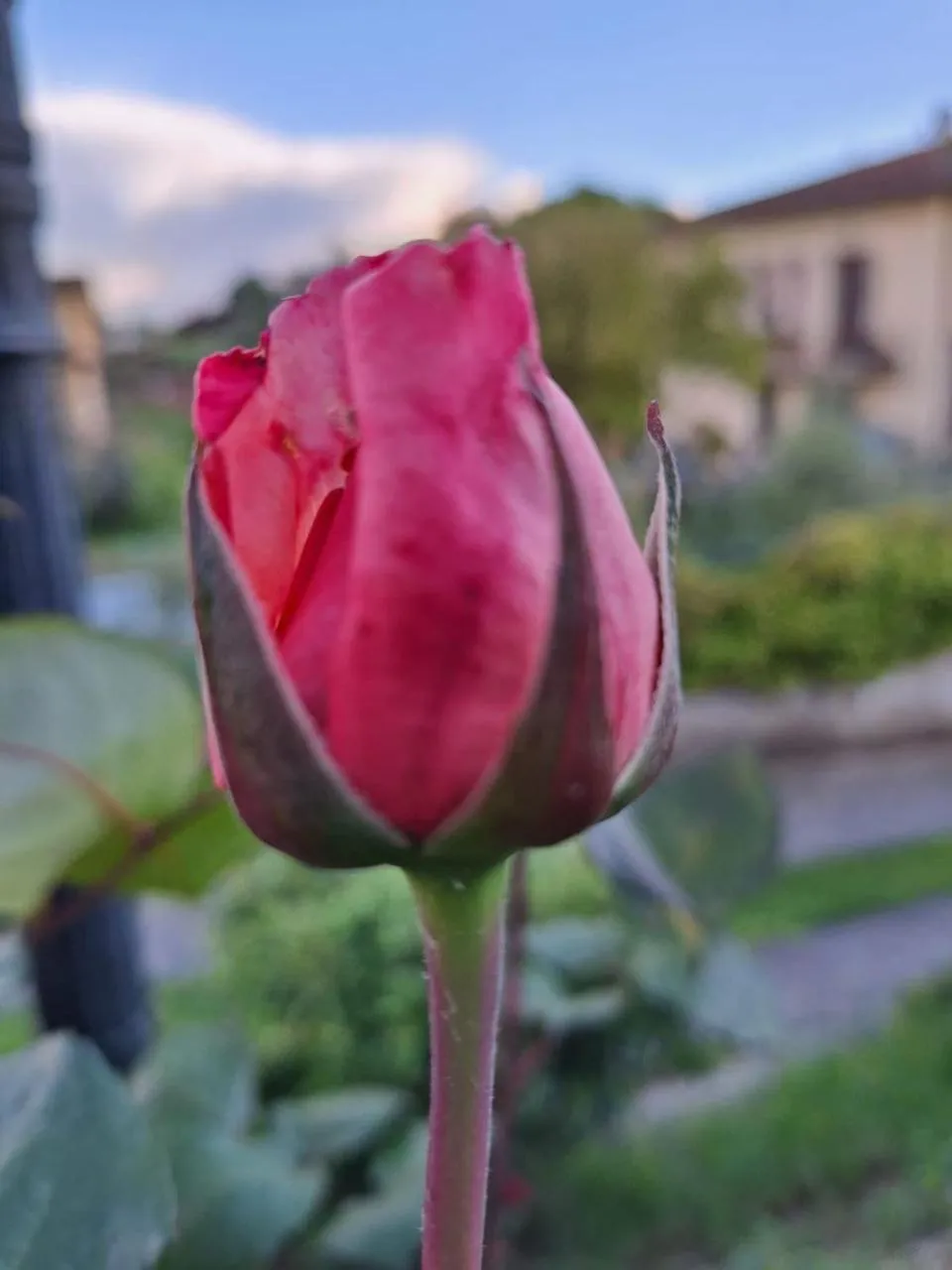 B&B Le rose di Paola