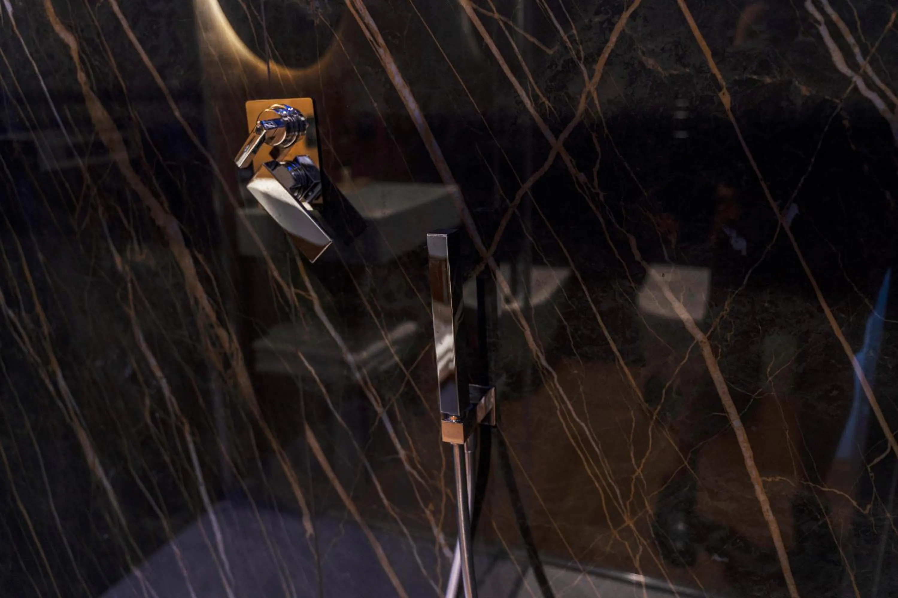 Shower in B&Z LUXURY