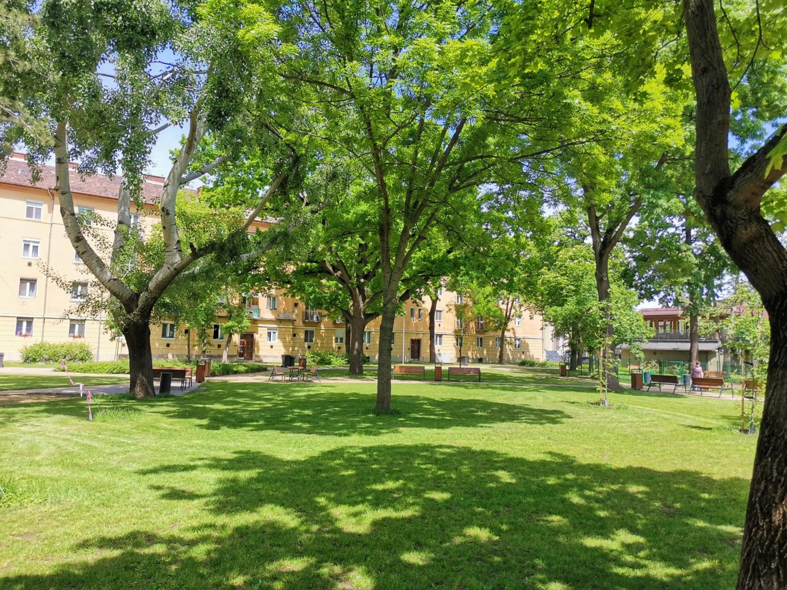 Garden in Alfa Hotel