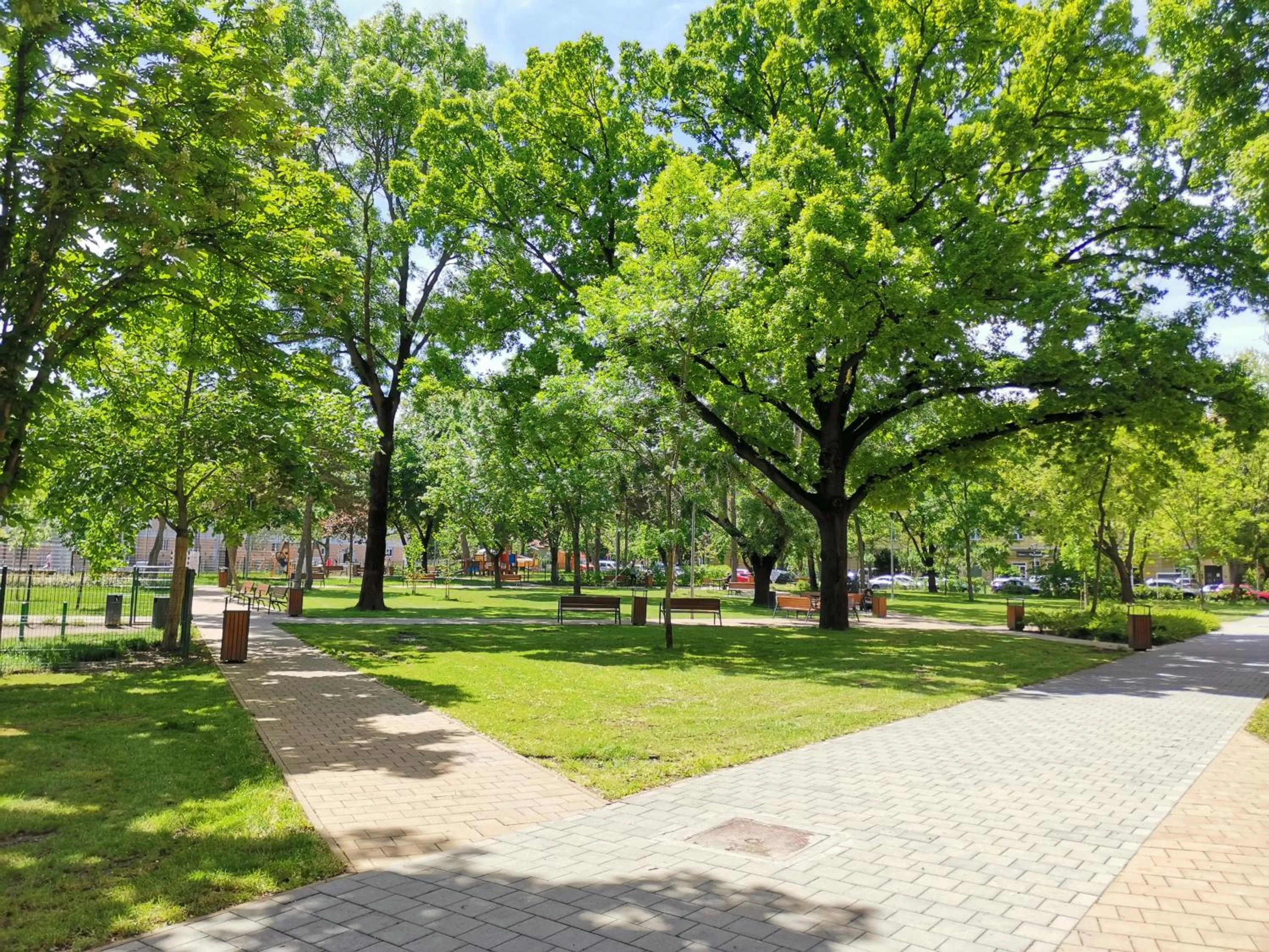 Garden in Alfa Hotel
