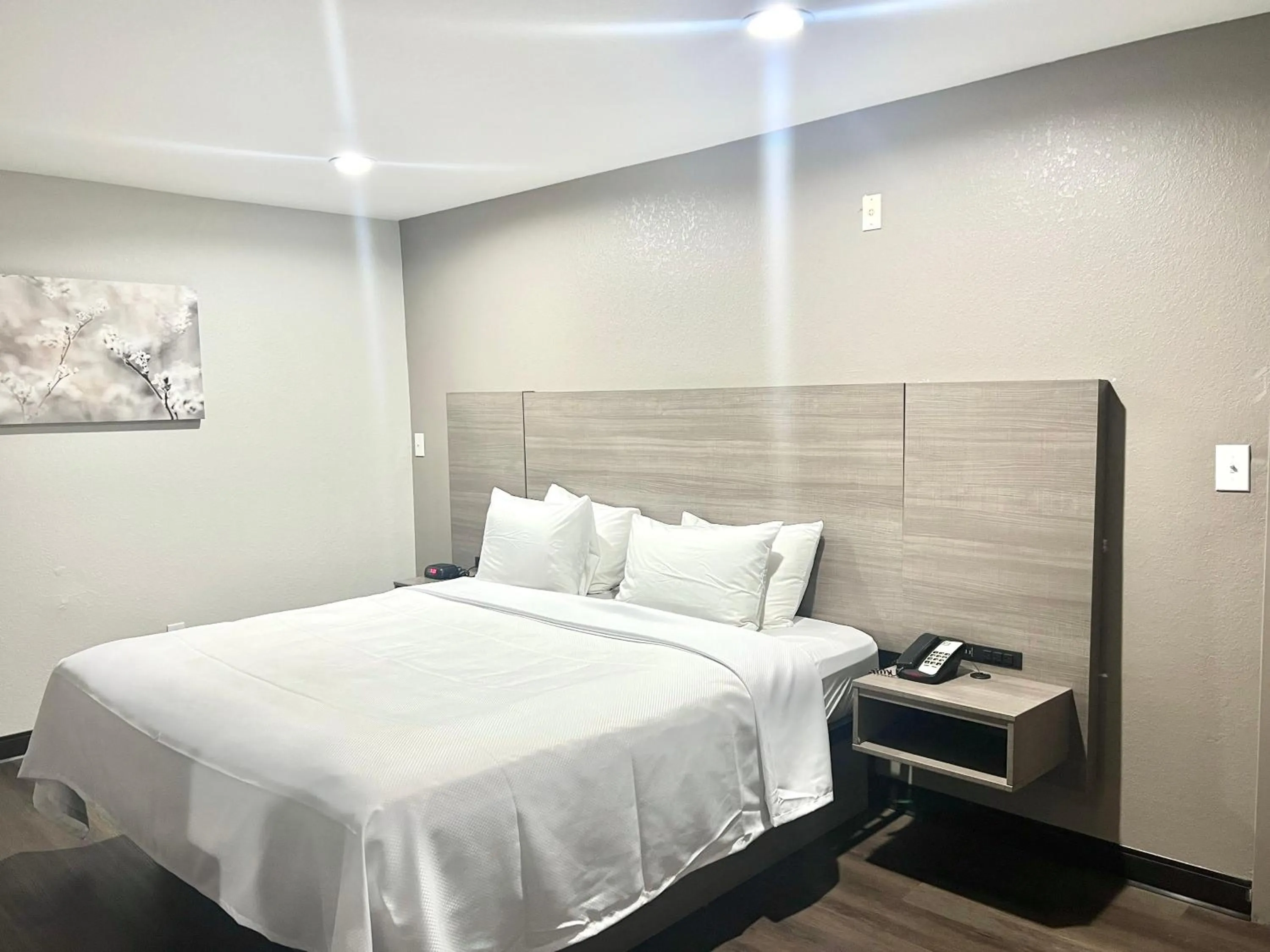 Bed in Red Roof Inn & Suites Wildwood, FL