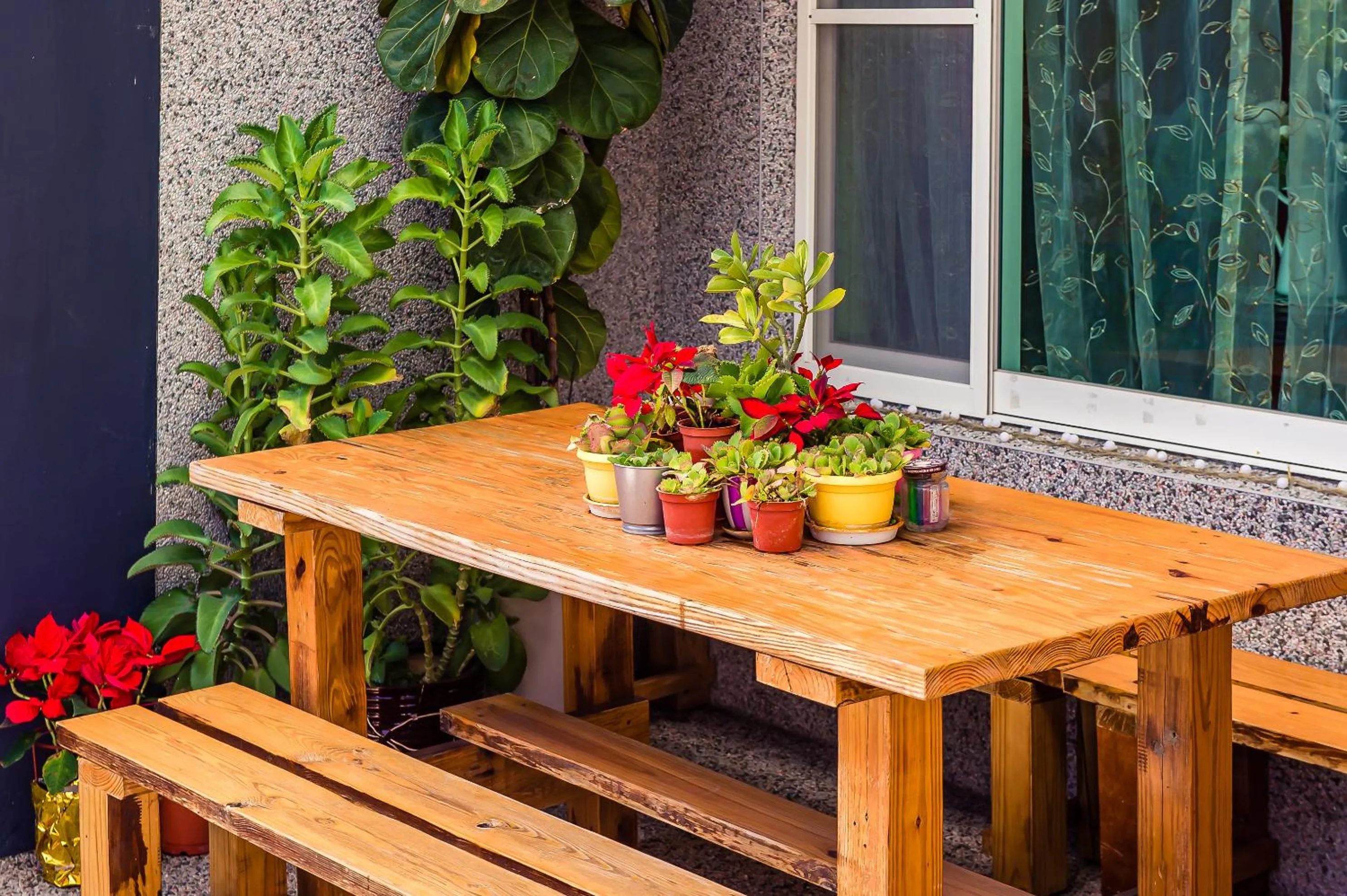 Patio in Millet's House