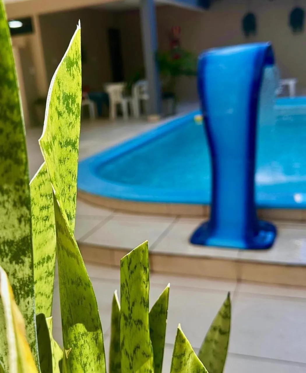 Hotel Pousada Alagoana