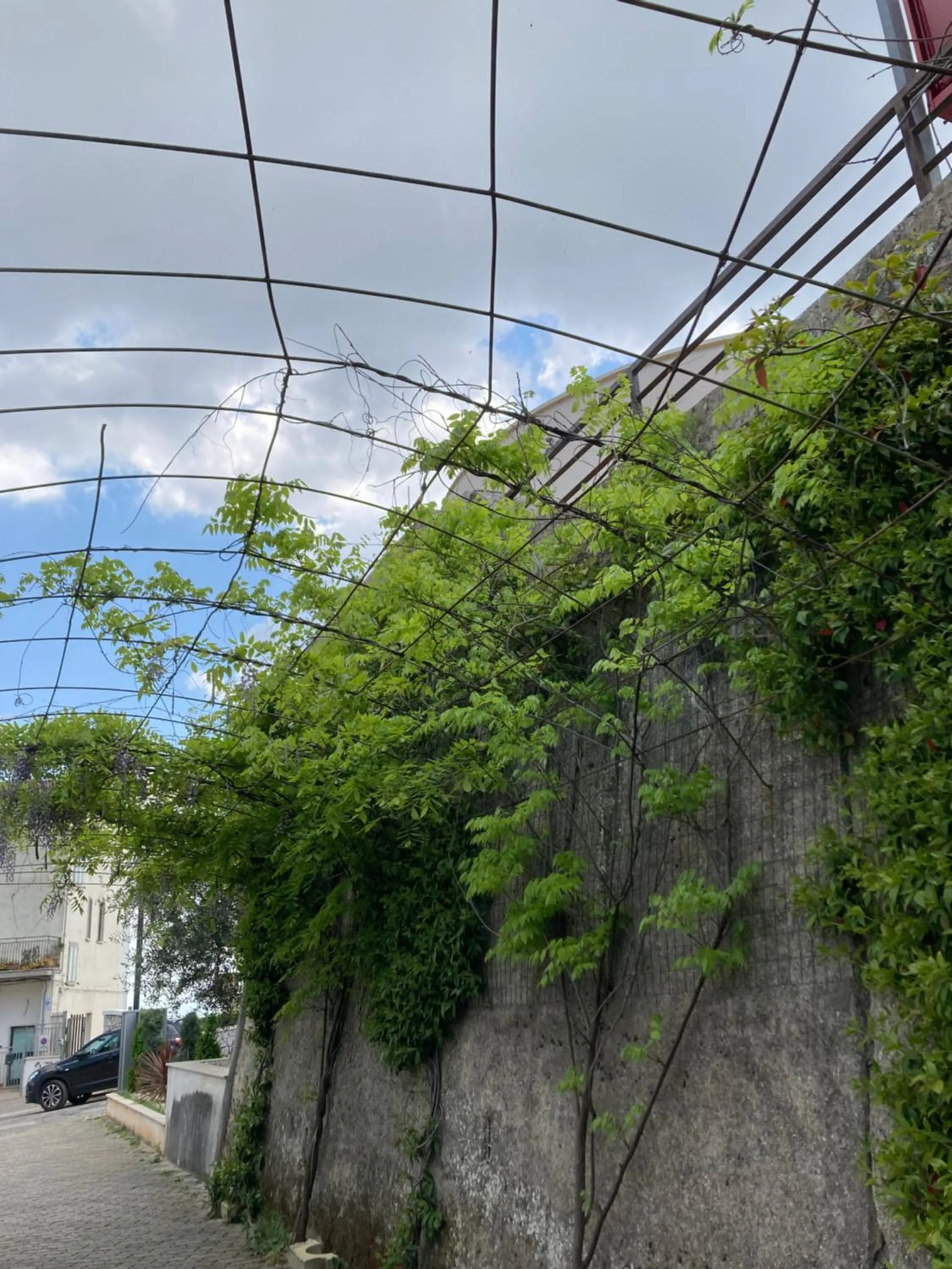 Garden in Albergo pensione Bianco