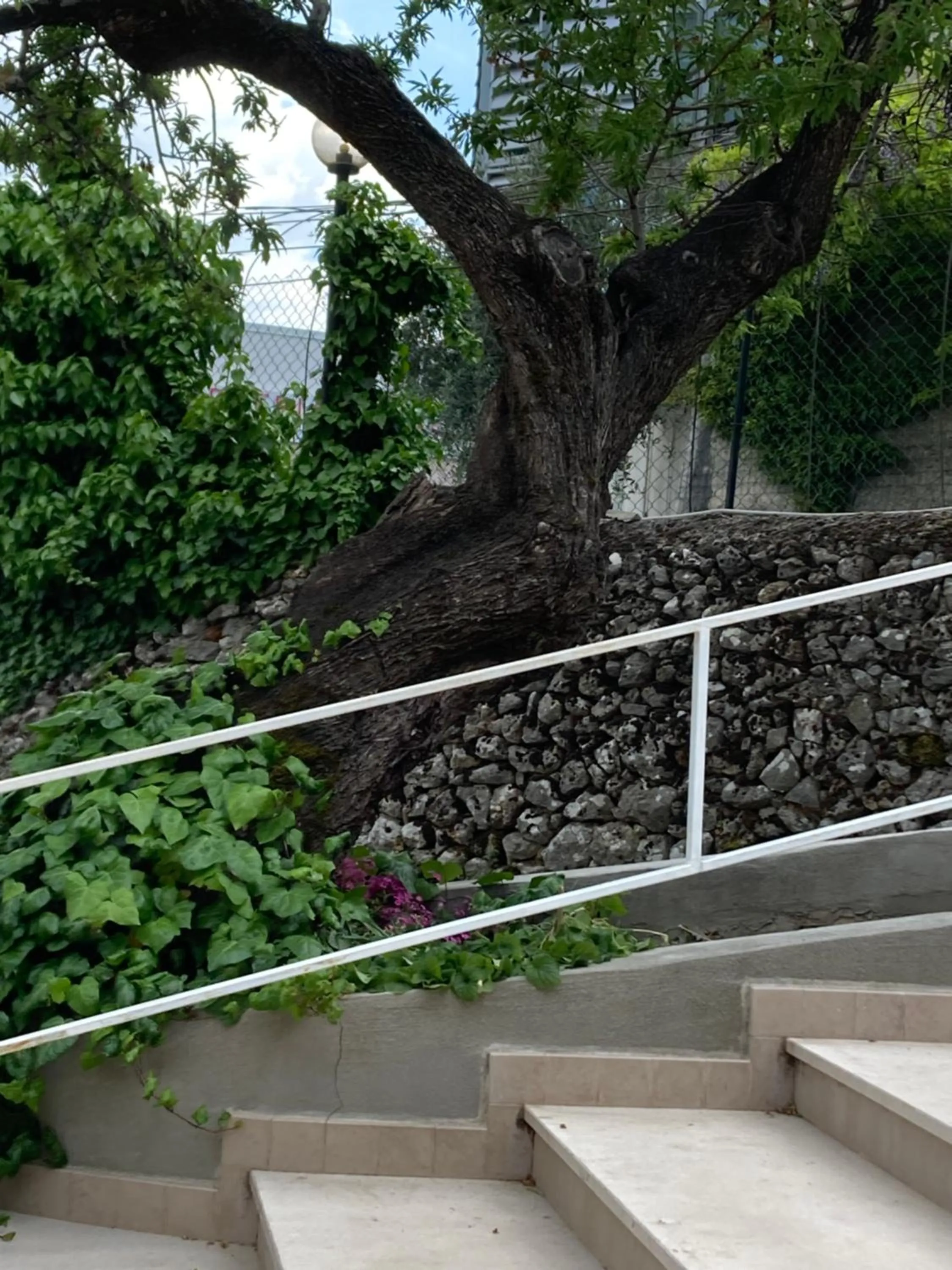 Garden in Albergo pensione Bianco