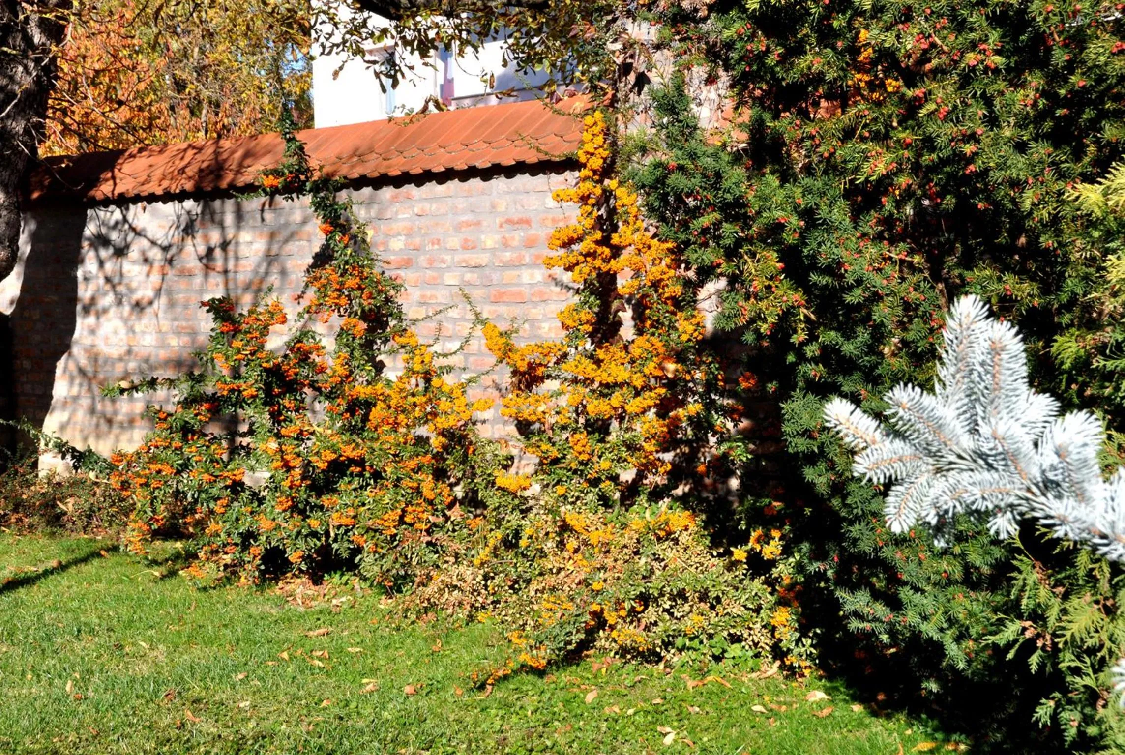 Garden view in Ametiszt Hotel Harkány