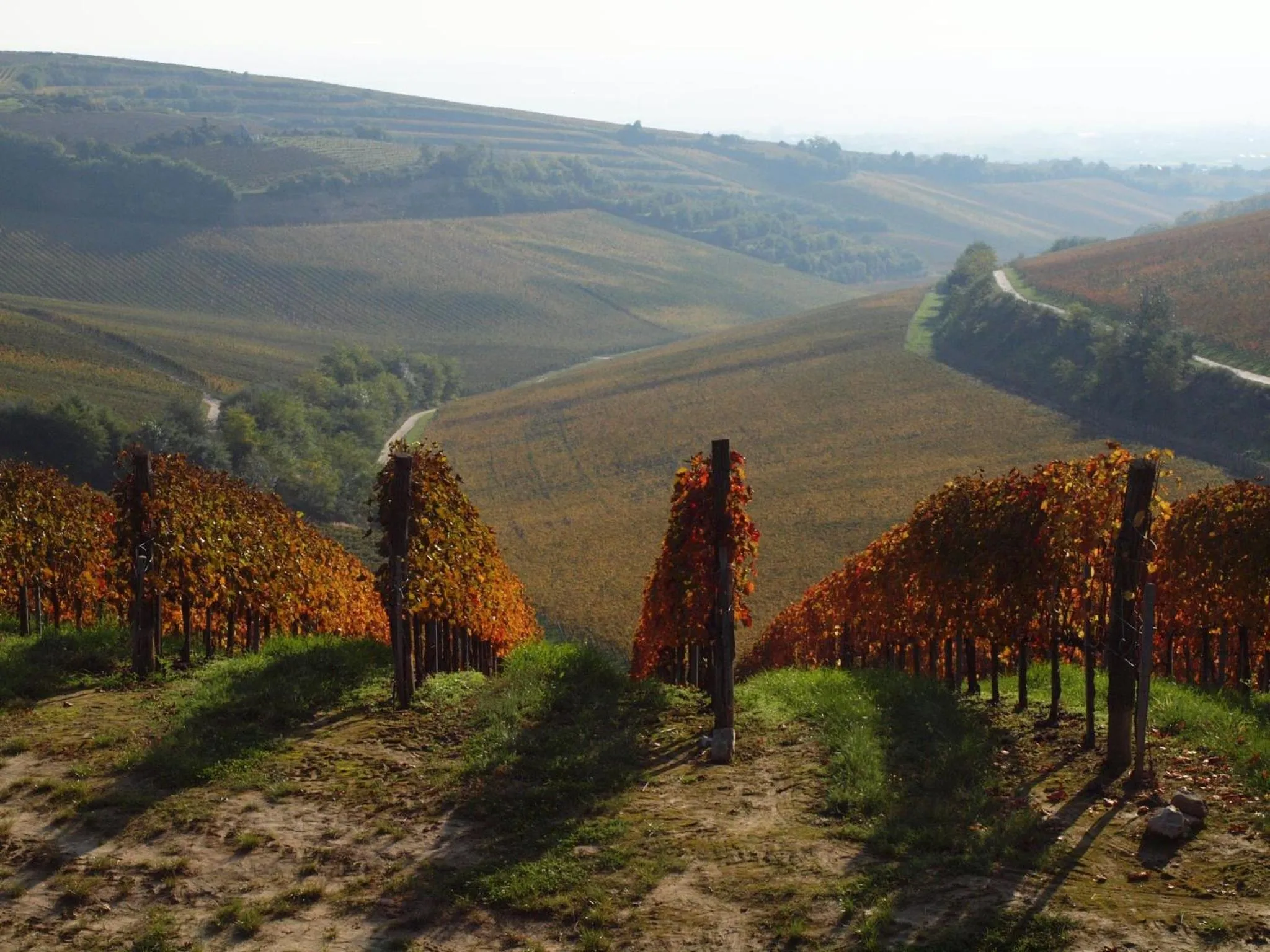 Area and facilities in Ametiszt Hotel Harkány