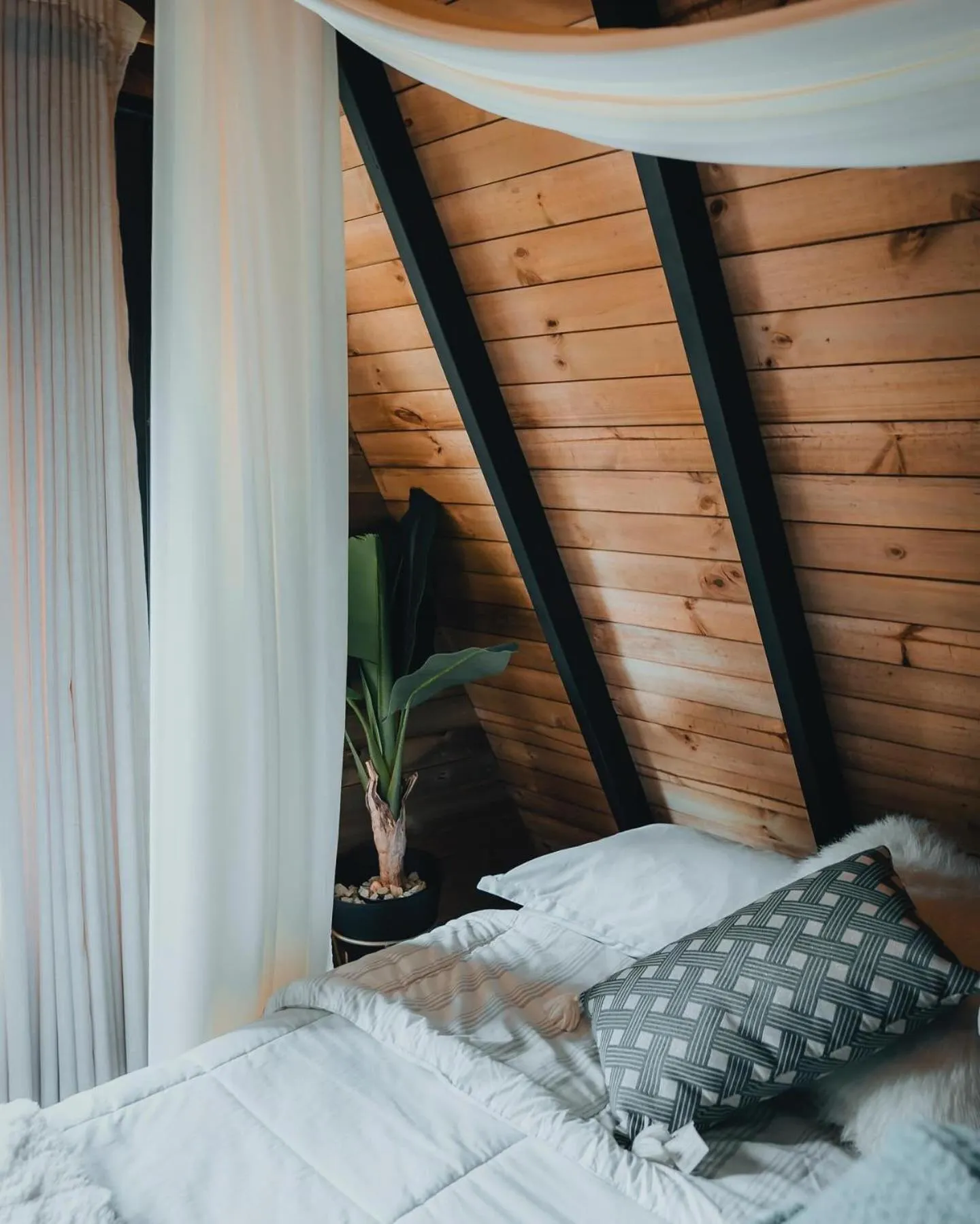 Bed in Cardinal Glamping