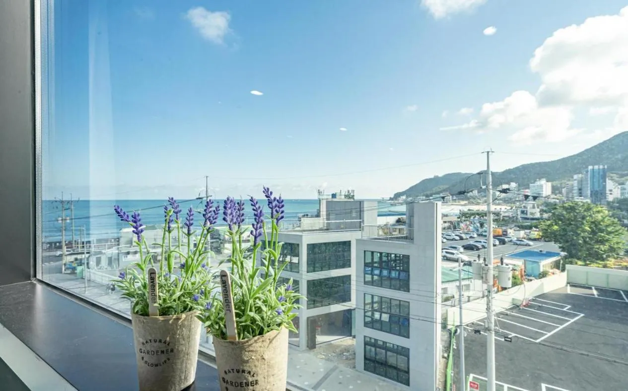 Songjeong Blue Castle Hotel