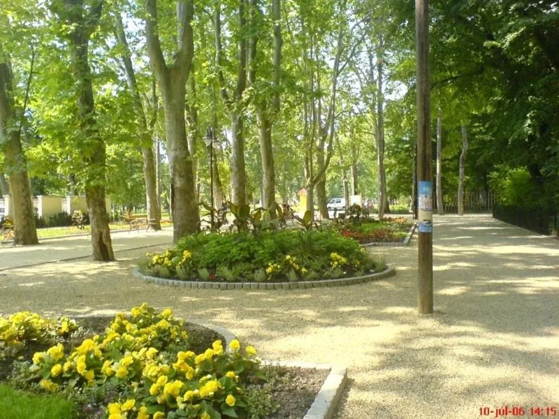 Area and facilities in Apartman Bella Hotel