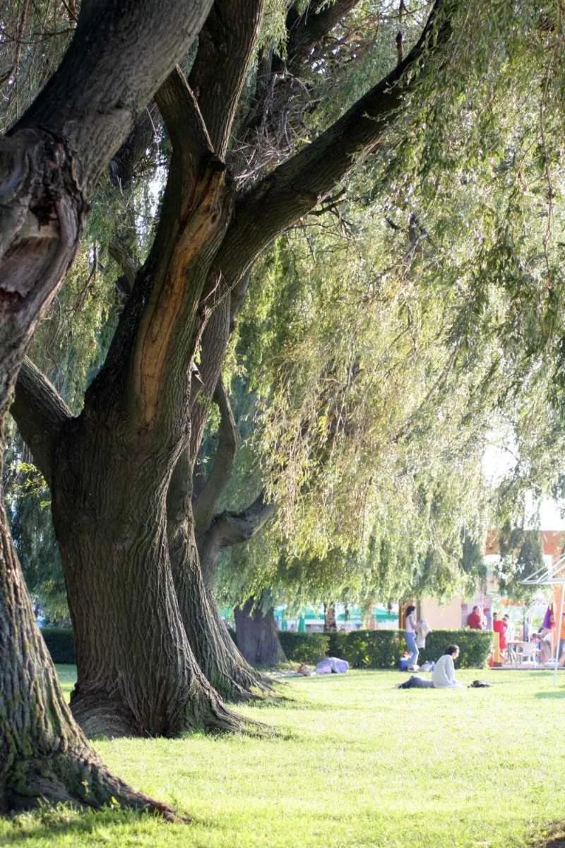 Area and facilities in Apartman Bella Hotel