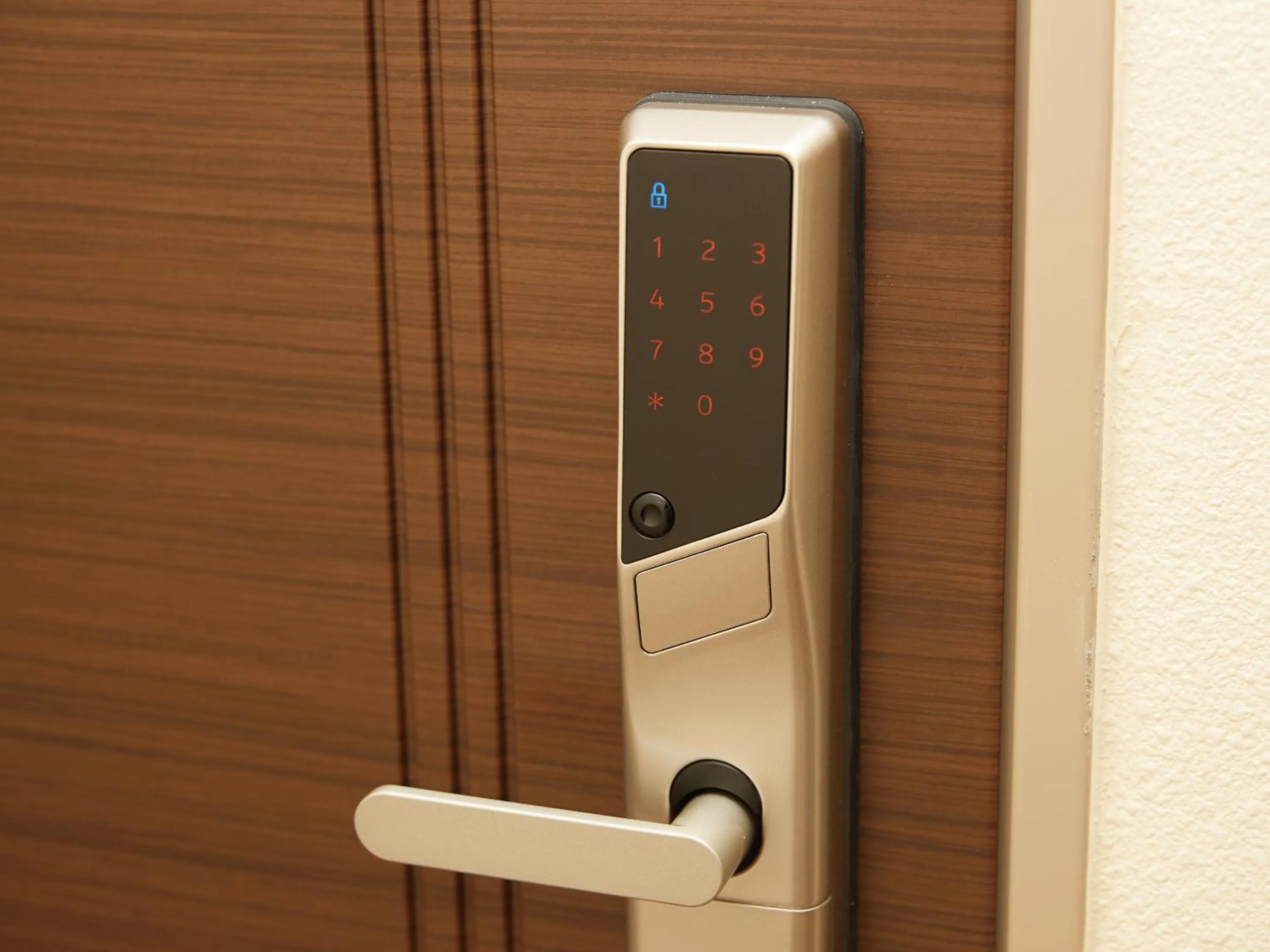 Area and facilities in Terrace Resort Mihama Chatan