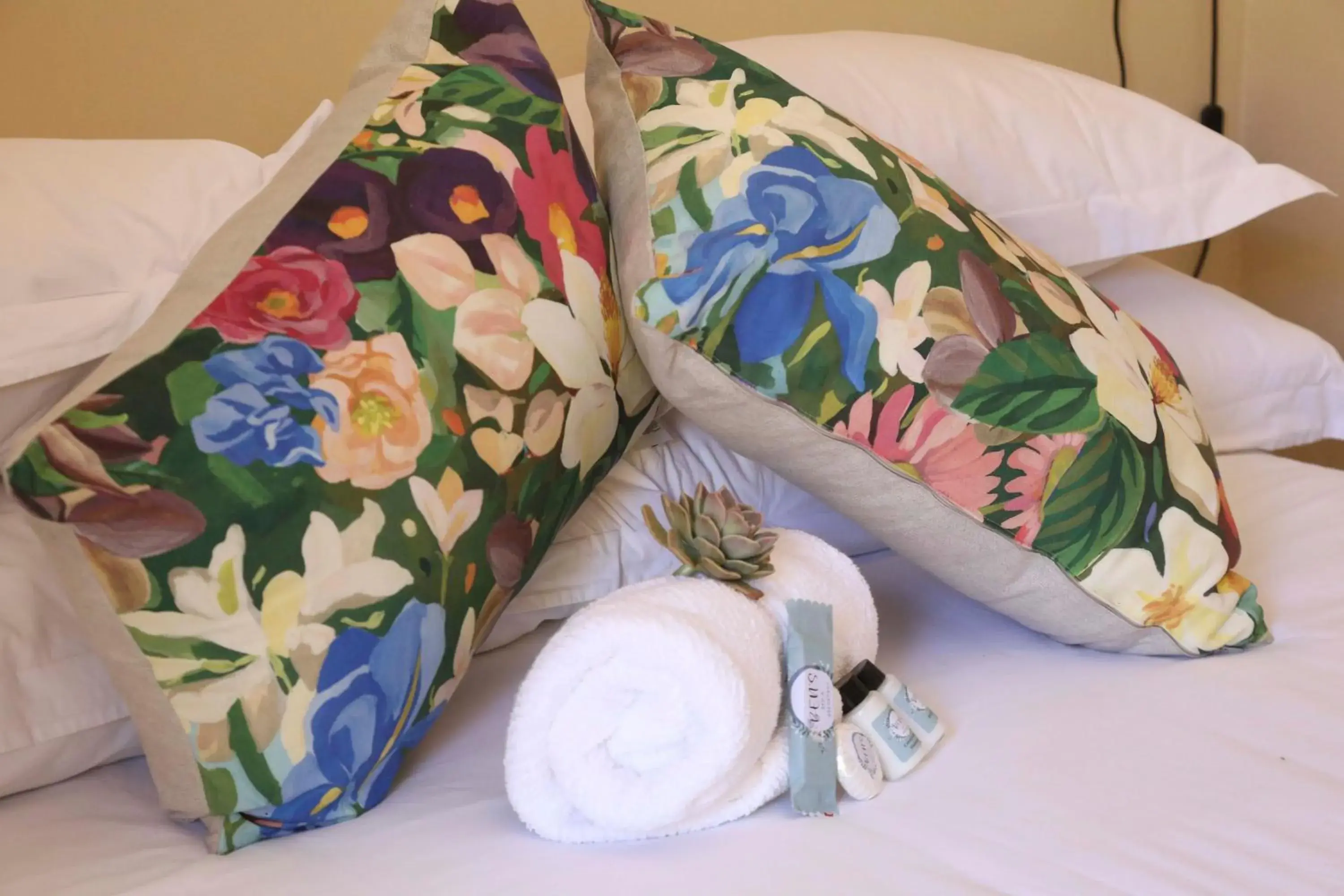 Double or Twin Room with Shared Bathroom - single occupancy in Ben's Bed and Breakfast Double or Twin Room with Shared Bathroom - single occupancy in Ben's Bed and Breakfast