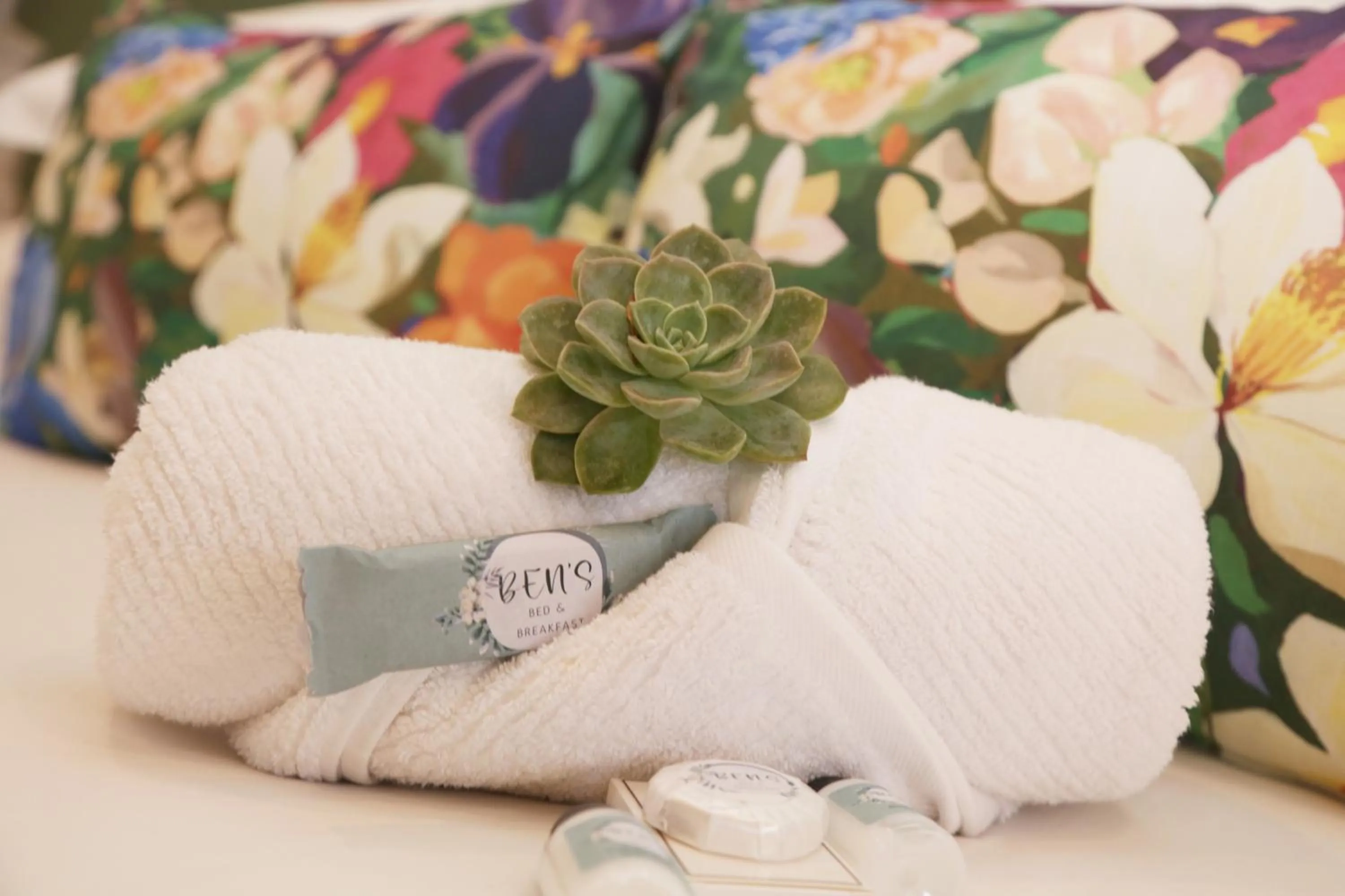 Bed in Ben's Bed and Breakfast