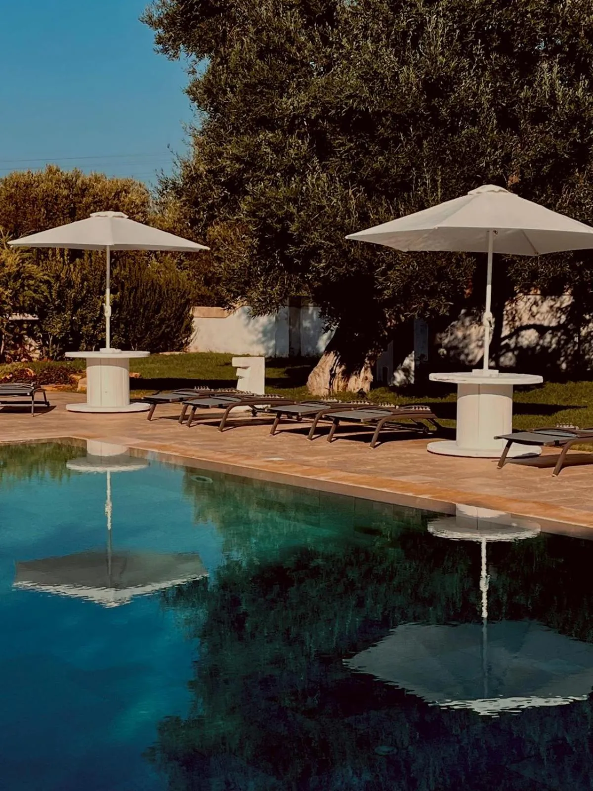 Pool view in Masseria Villa Verde