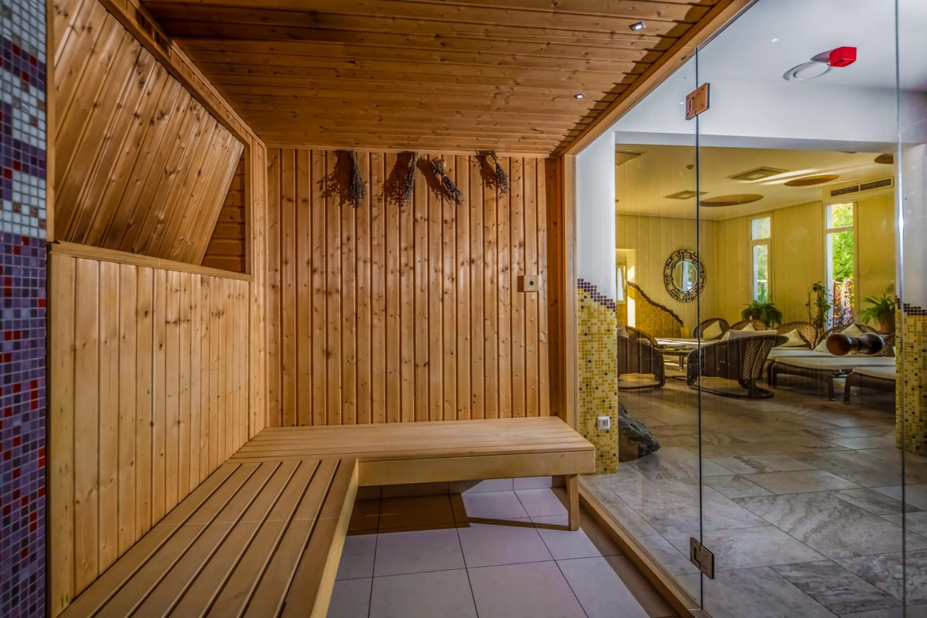 Sauna in Residence Hotel Balaton