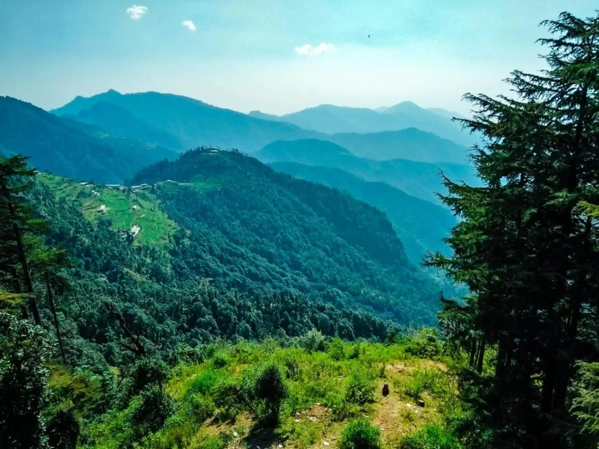 Natural landscape in Hotel Bliss Valley - Hotel in Dharamshala