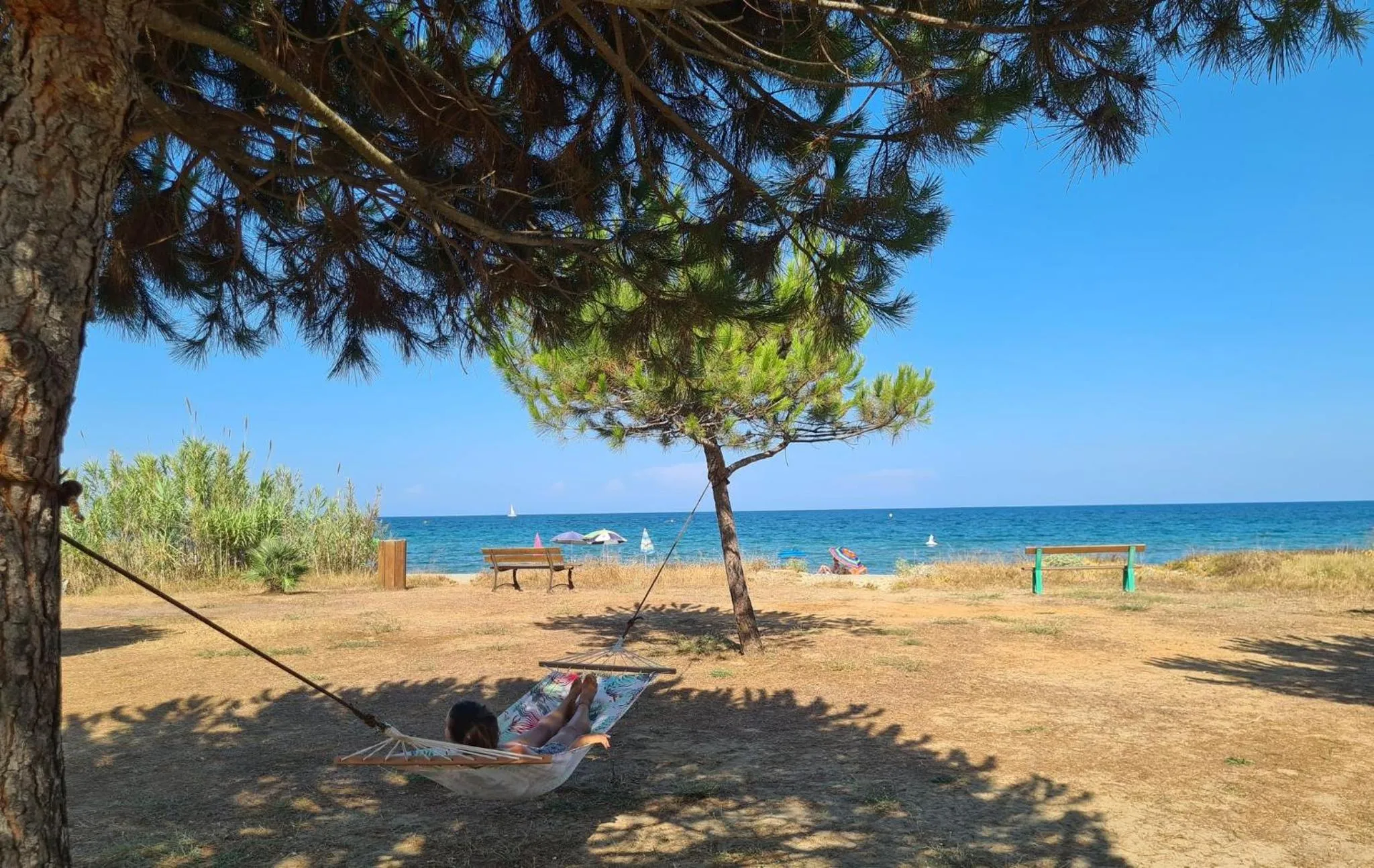 Natural landscape in Pinea Mare