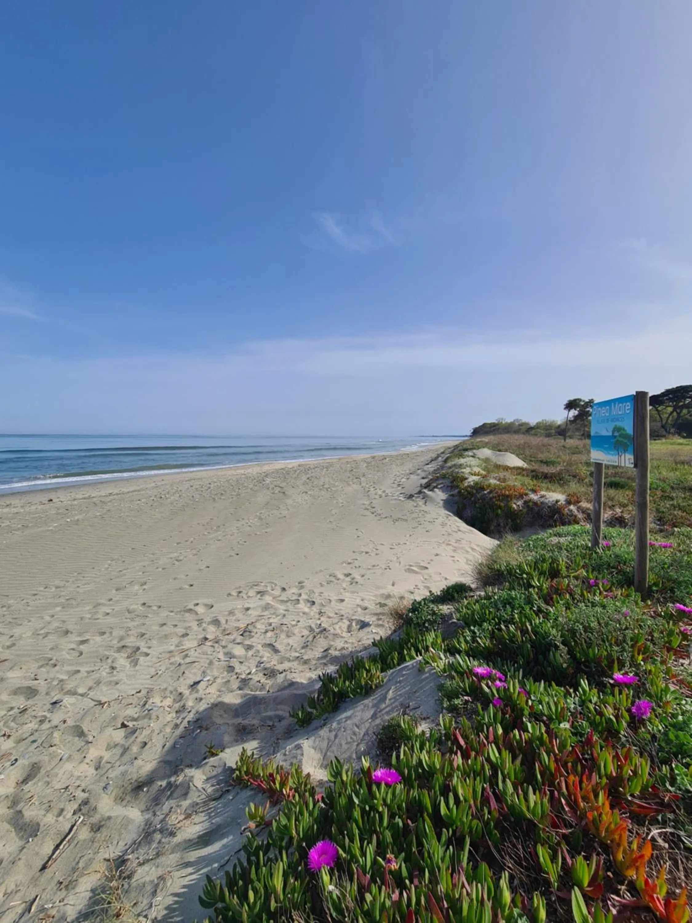Natural landscape in Pinea Mare