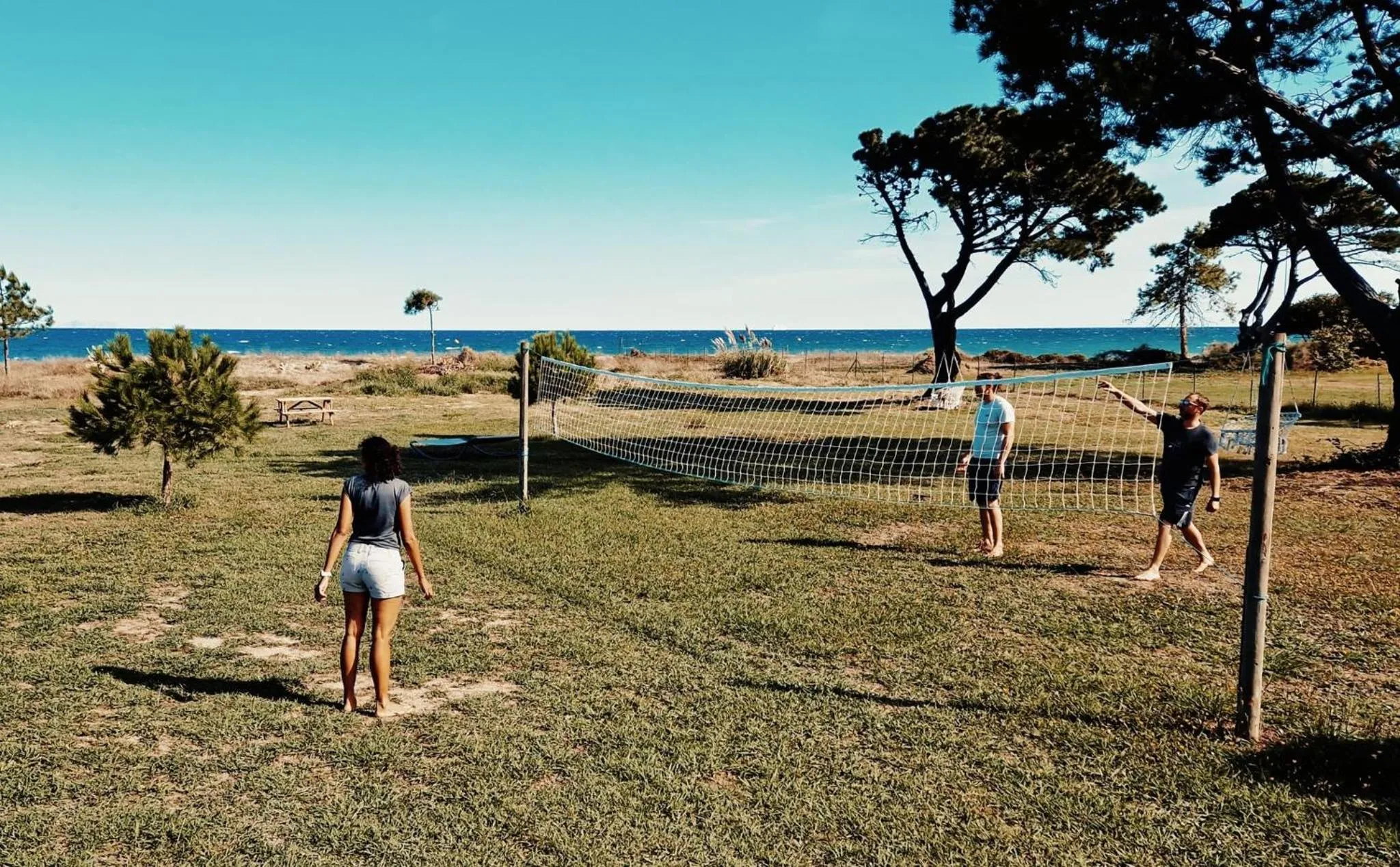 Natural landscape in Pinea Mare