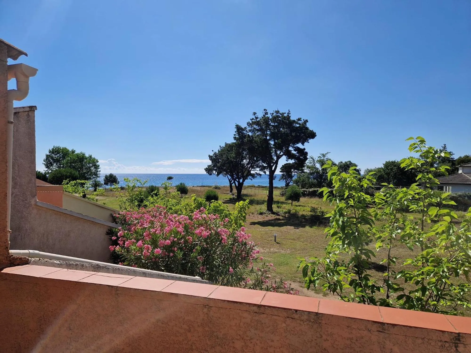 Natural landscape in Pinea Mare