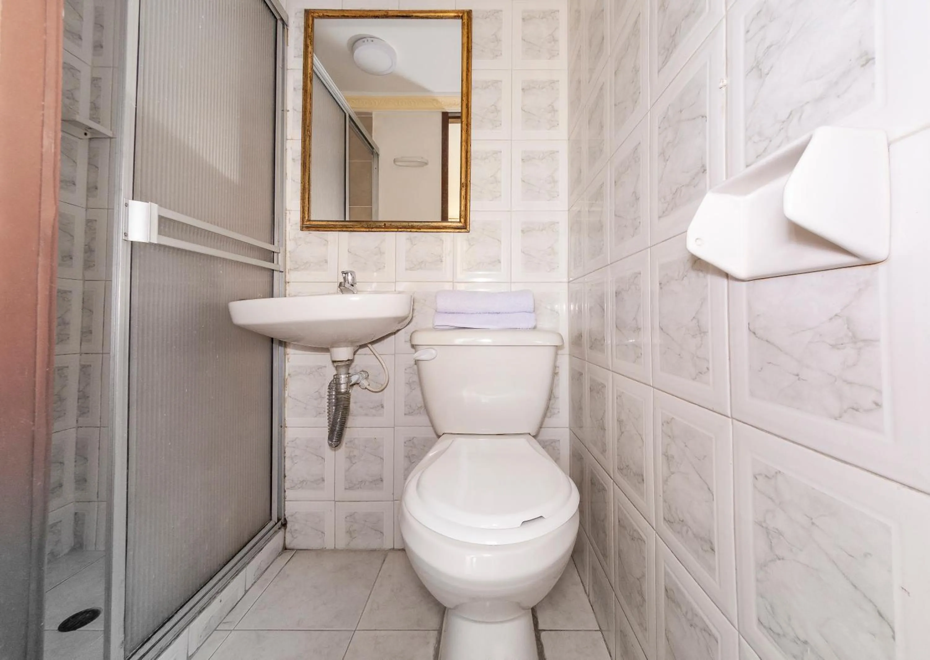 Toilet in Ayenda Parque del Quindio