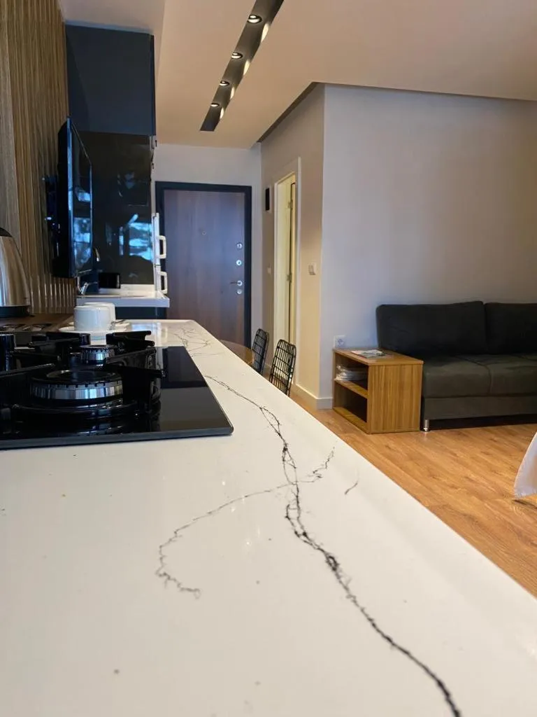 Kitchen or kitchenette in BLACKLAKE OTEL