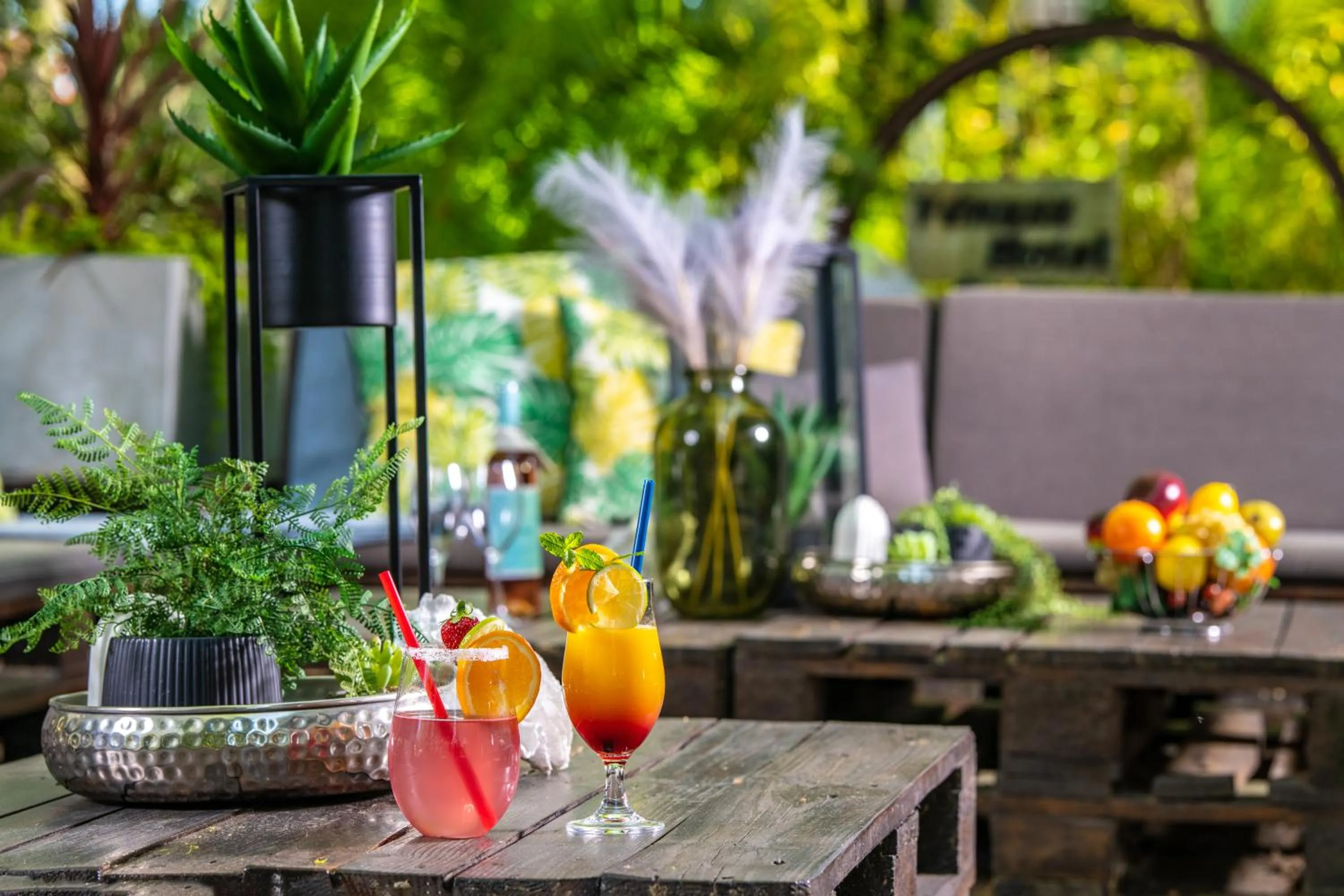 Garden in Vénusz Hotel