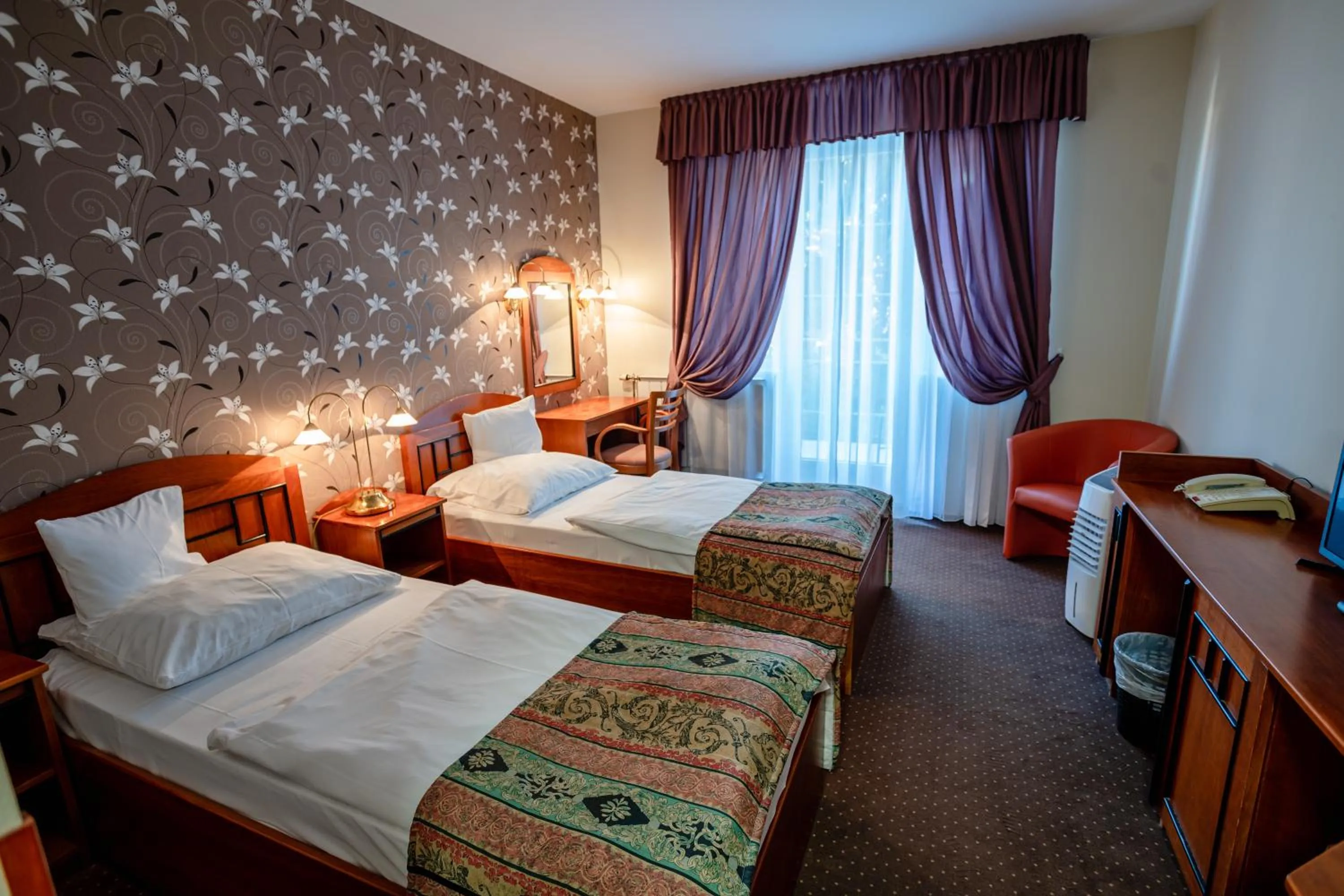 Photo of the whole room in Hotel Erzsébet