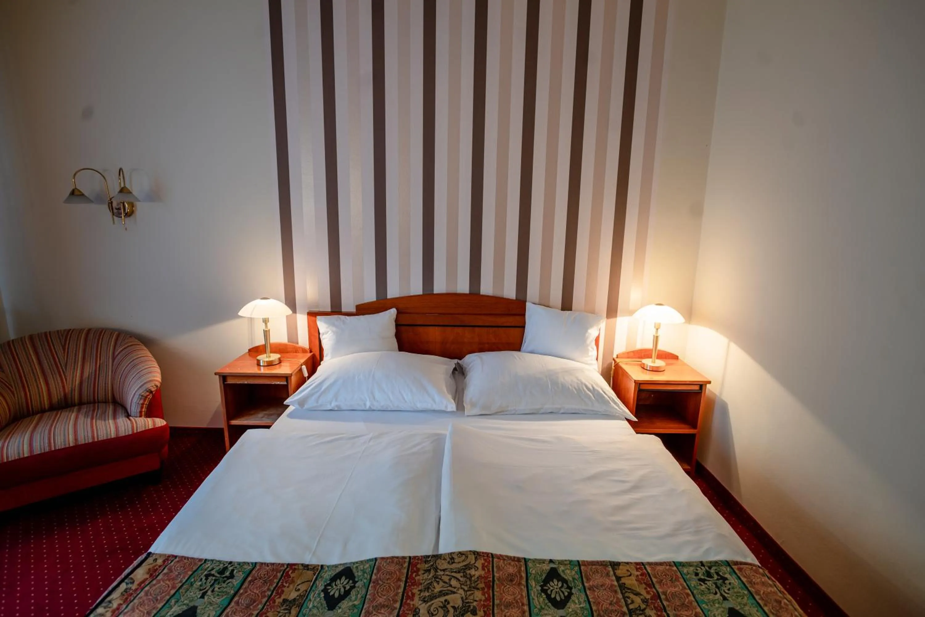 Photo of the whole room in Hotel Erzsébet