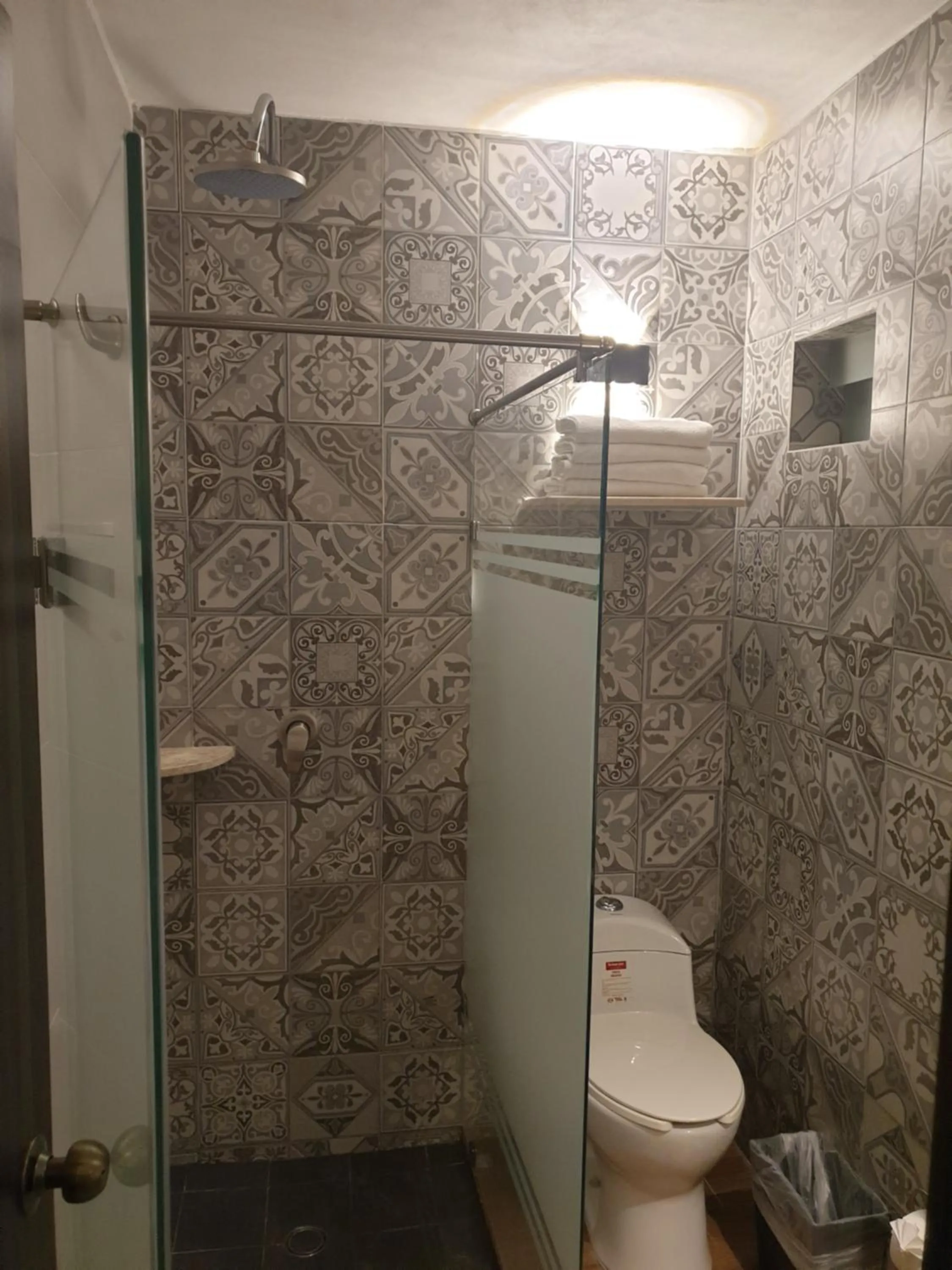 Bathroom in Hotel Don Carlos