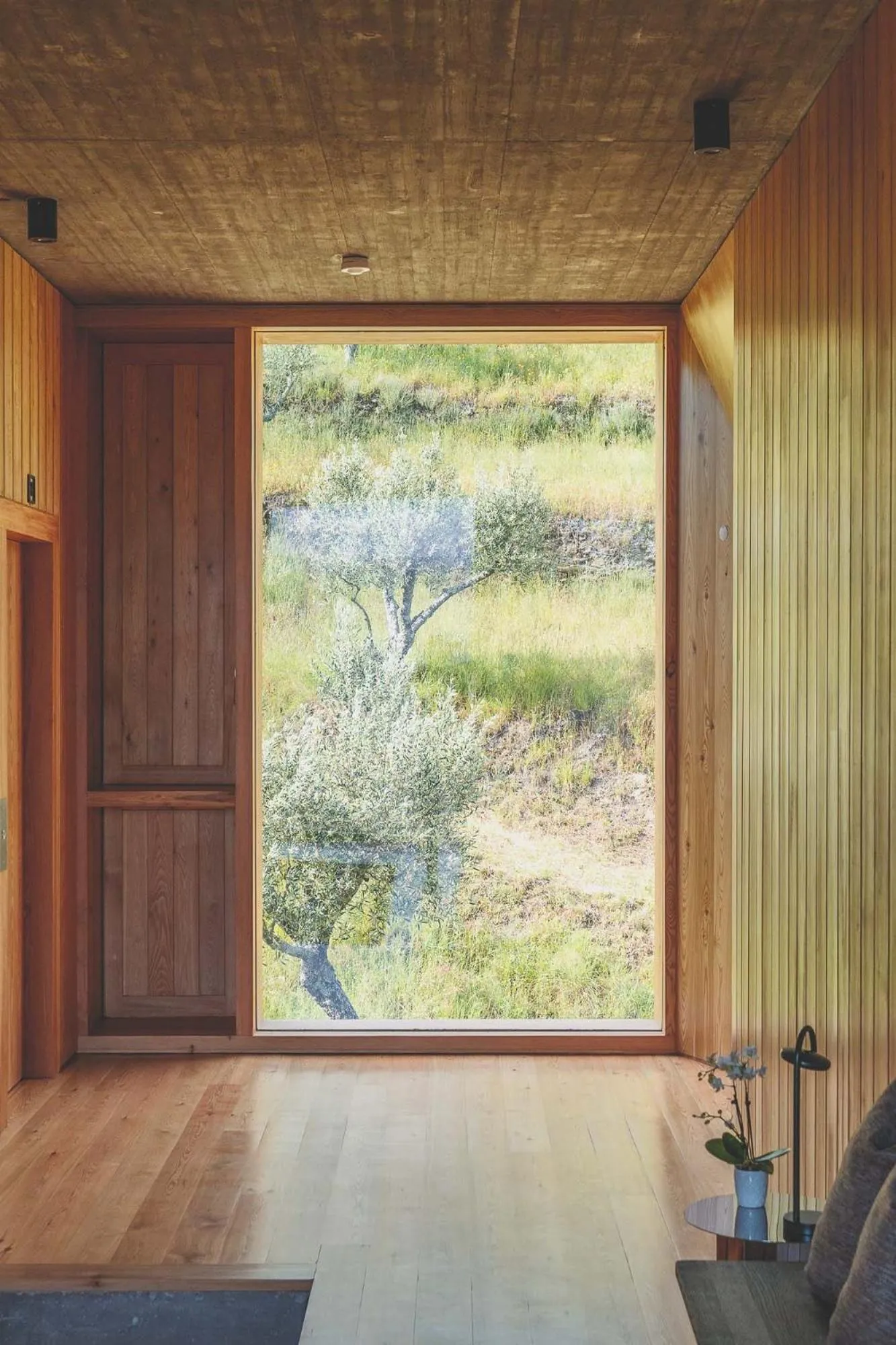 Garden view in Casa do Arco by Douro Exclusive