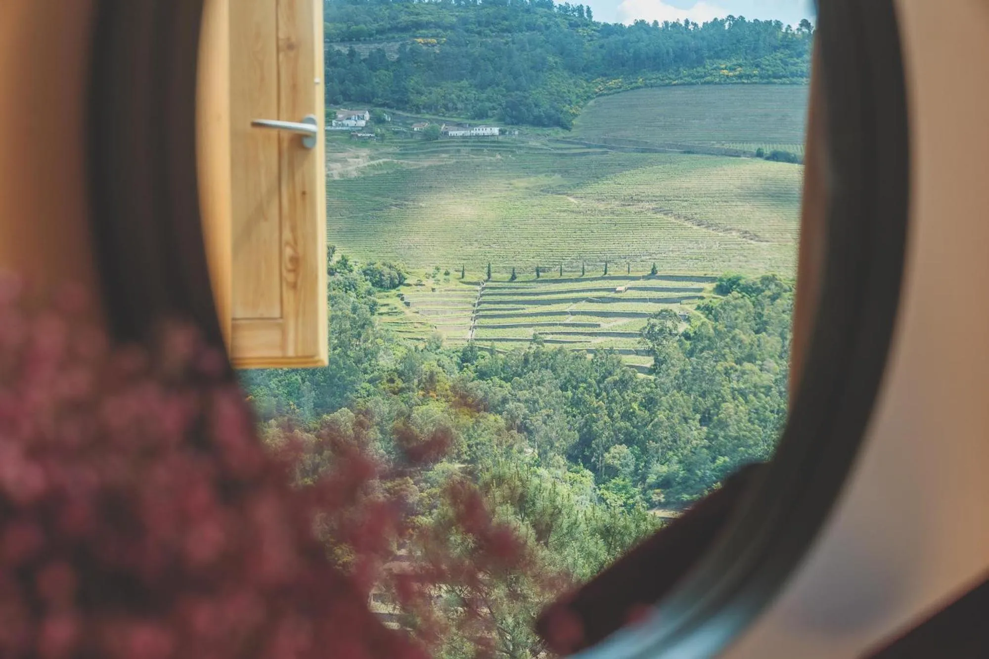 View (from property/room) in Casa do Arco by Douro Exclusive