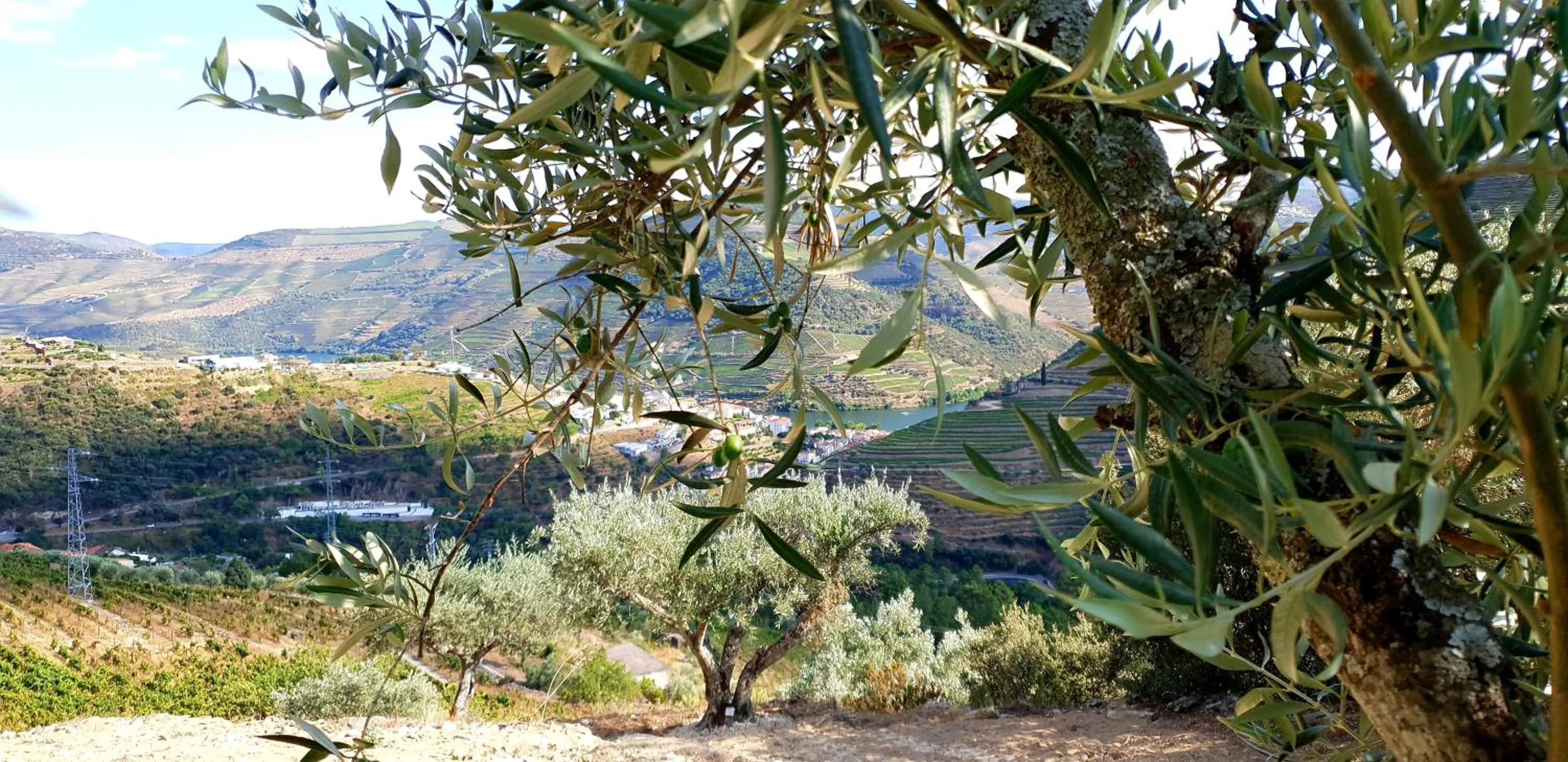 City view in Casa do Arco by Douro Exclusive