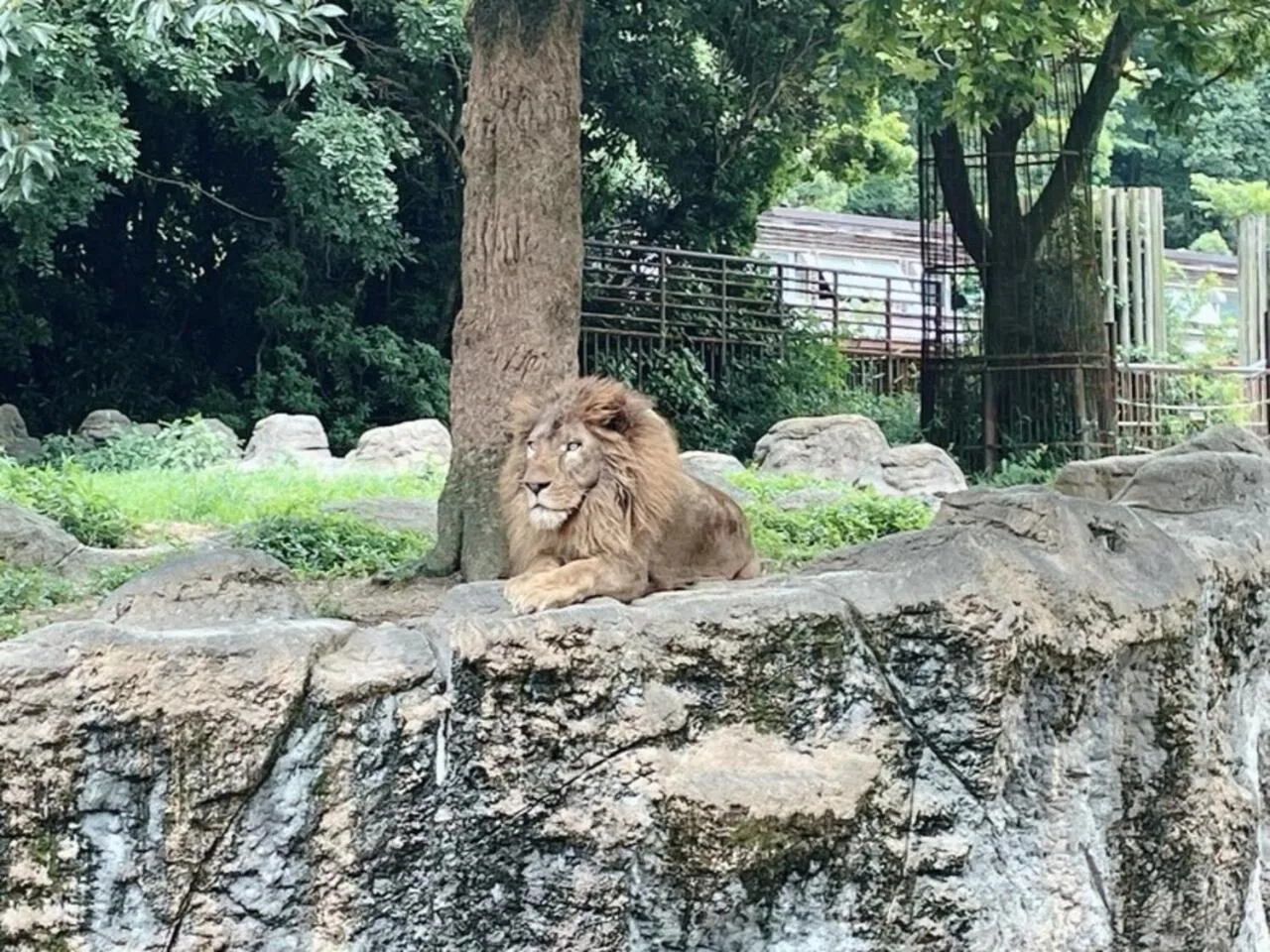 Nearby landmark in REF Matsuyama City Station by VESSEL HOTELS