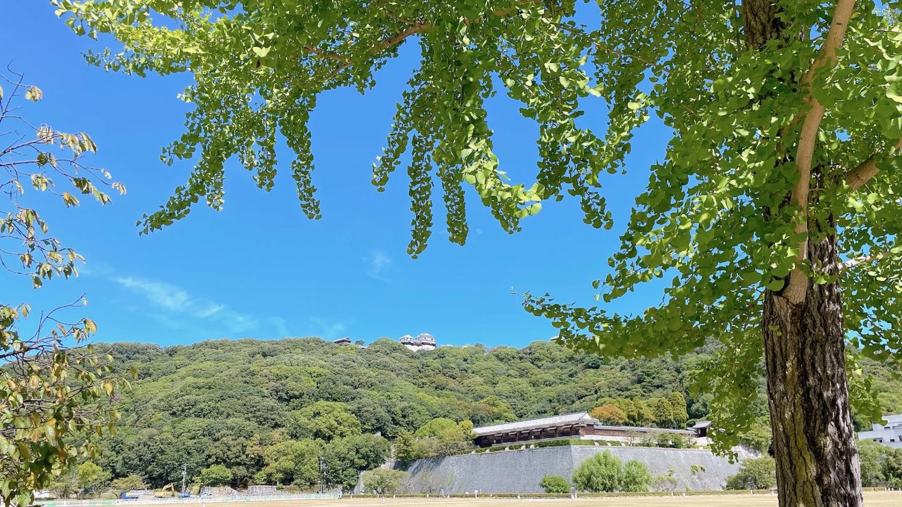 Nearby landmark in REF Matsuyama City Station by VESSEL HOTELS