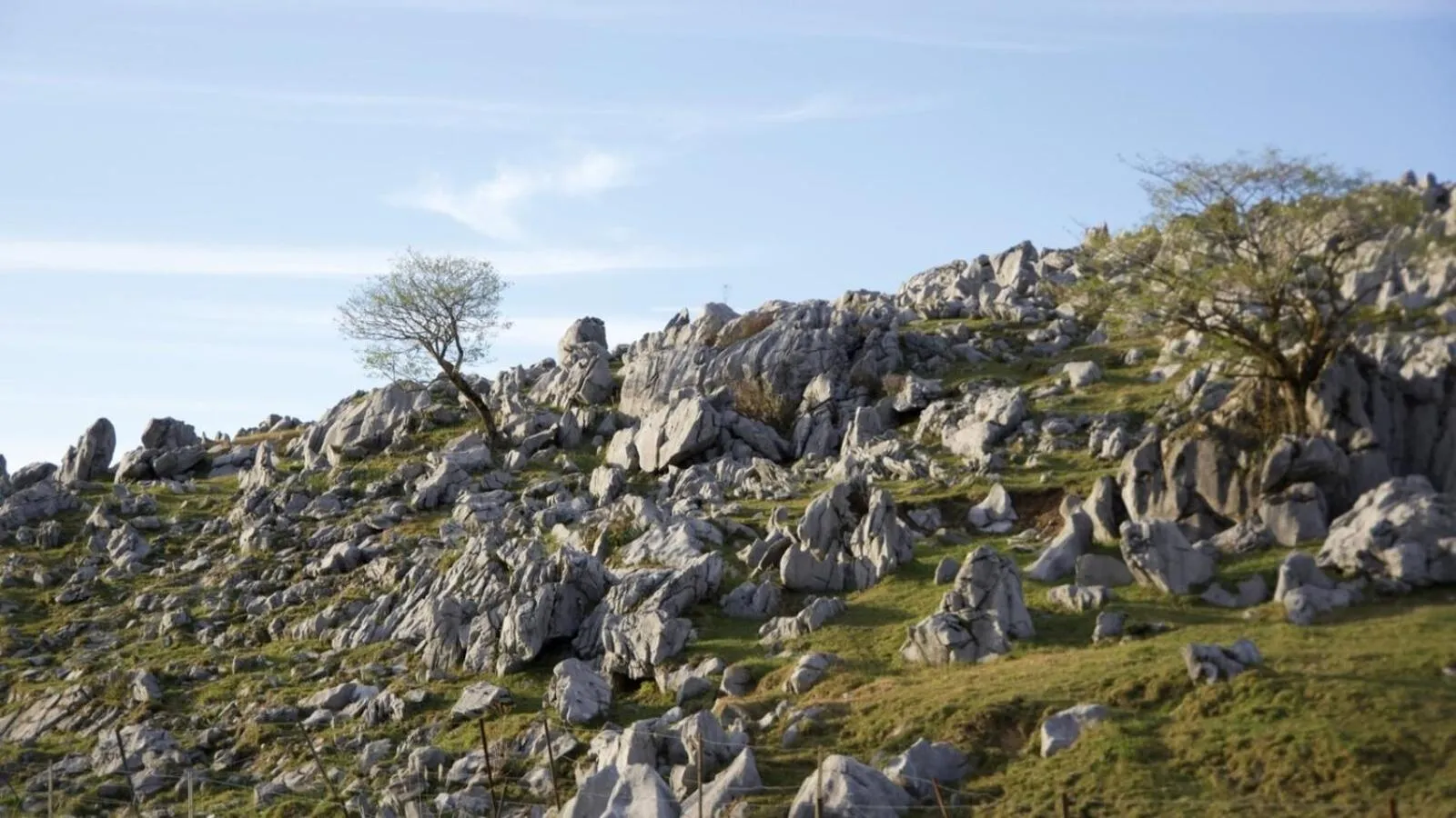 Nearby landmark in REF Matsuyama City Station by VESSEL HOTELS