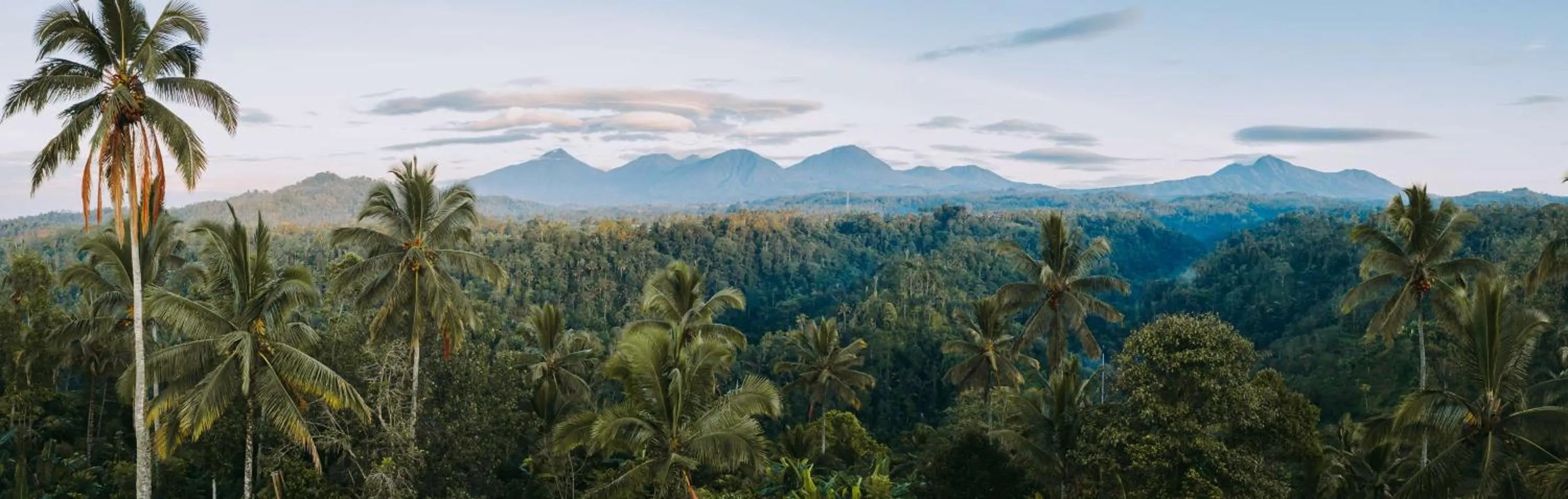 Property building in Buahan, a Banyan Tree Escape