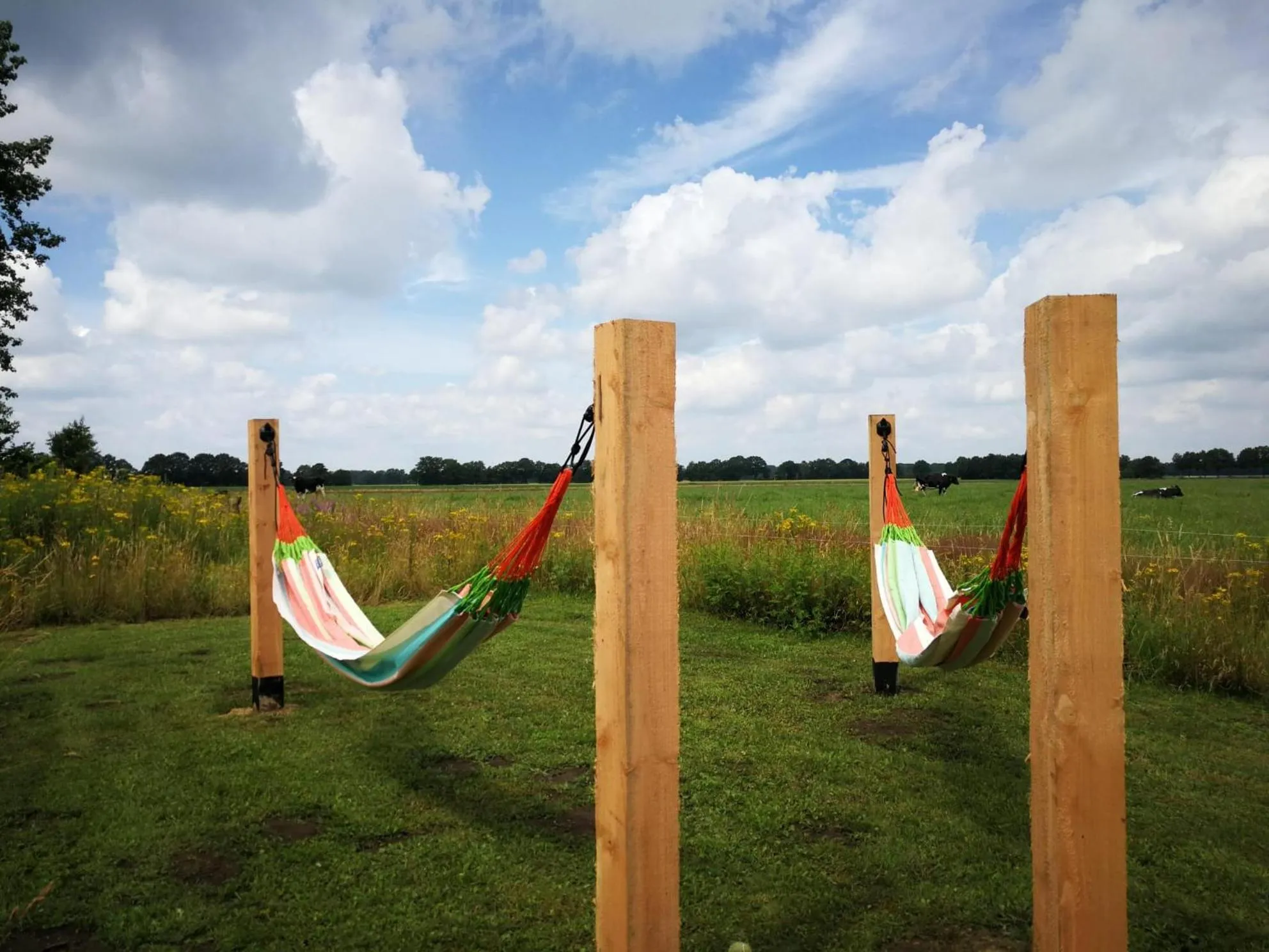 Garden in B&B Grevenberg