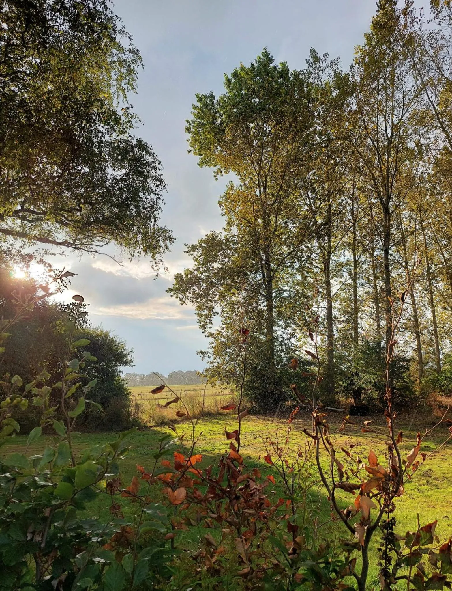 Garden in B&B Grevenberg